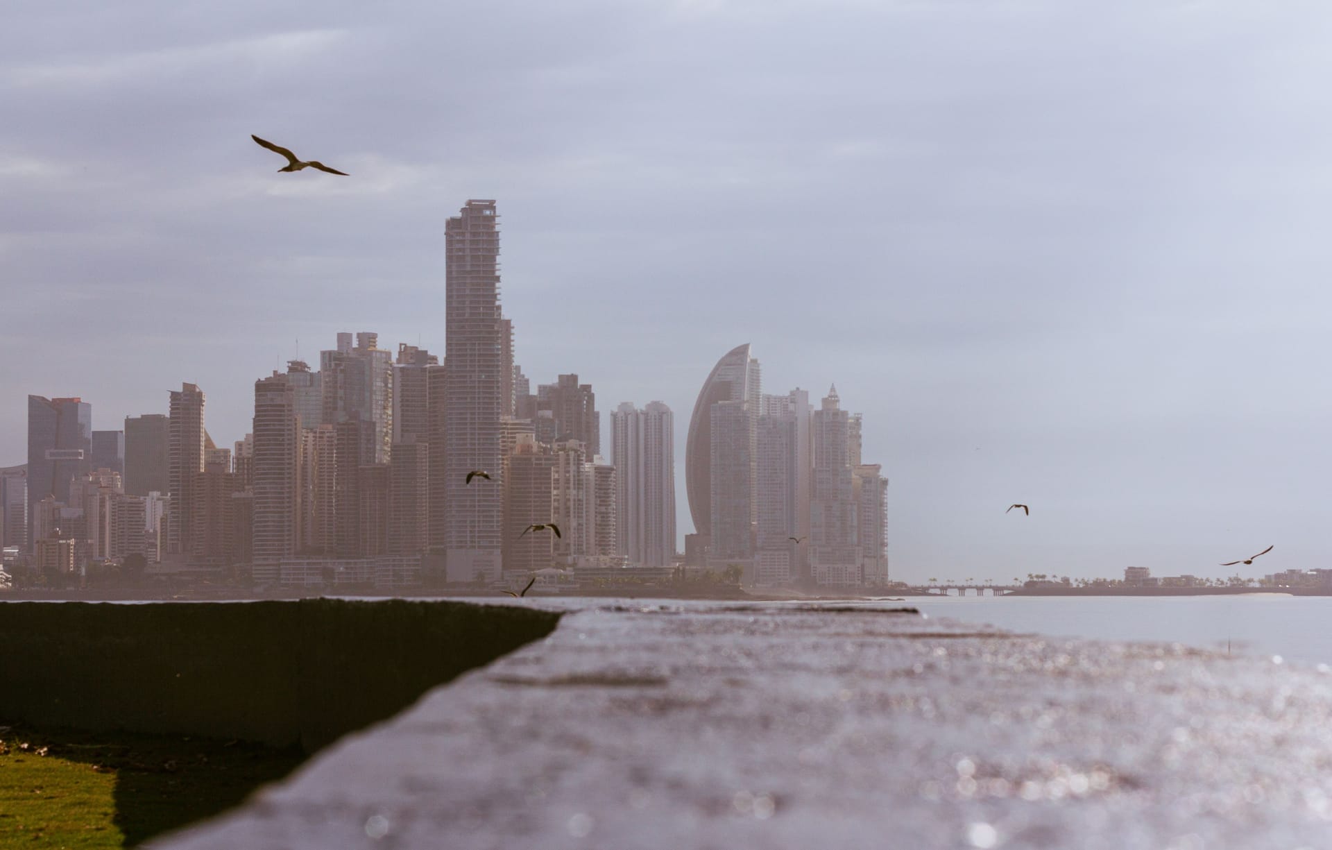 Manta — local identity