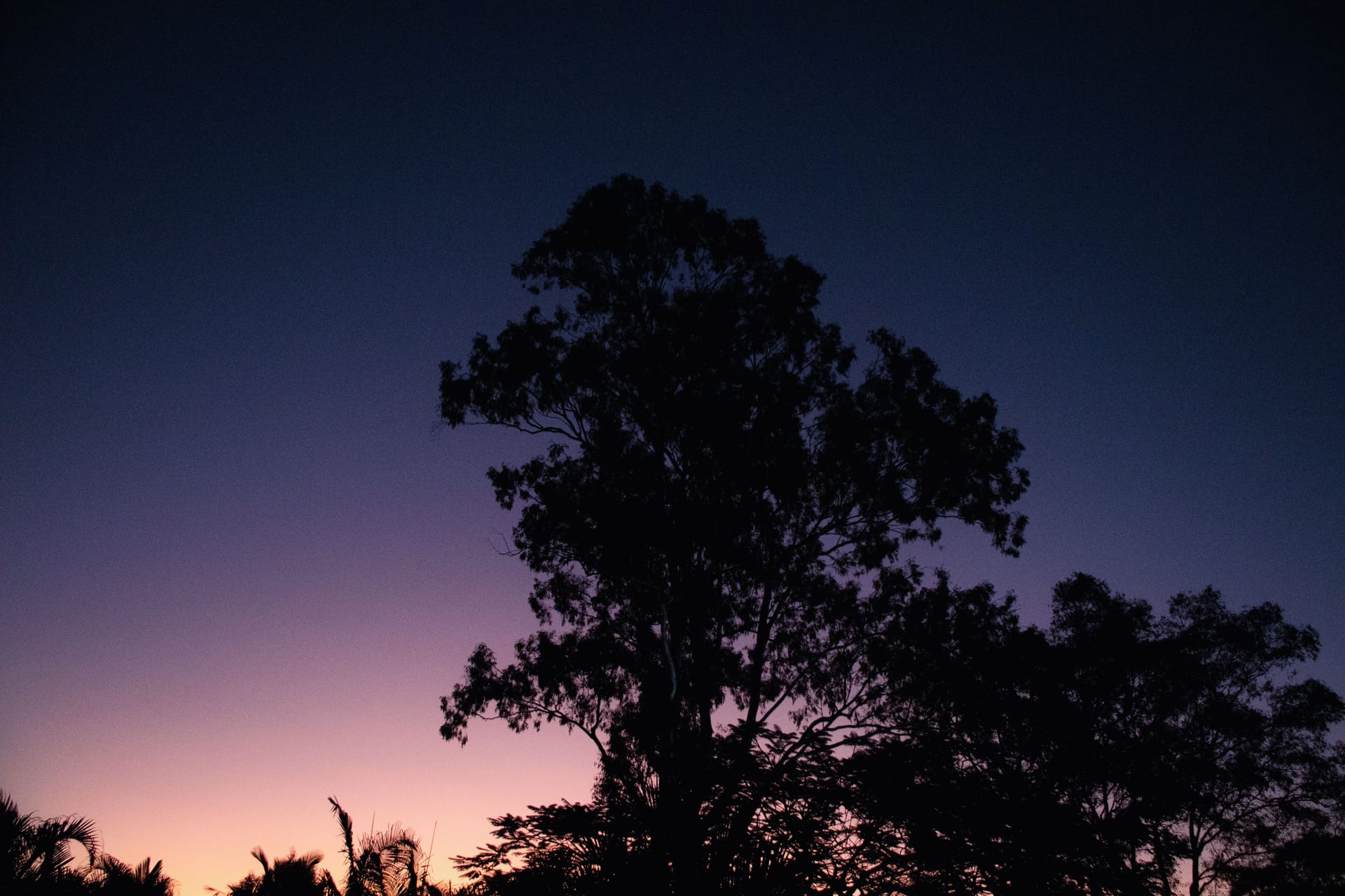 Maryborough — local identity