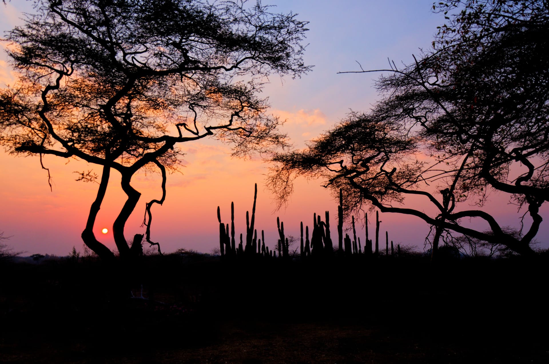 Masvingo — local identity