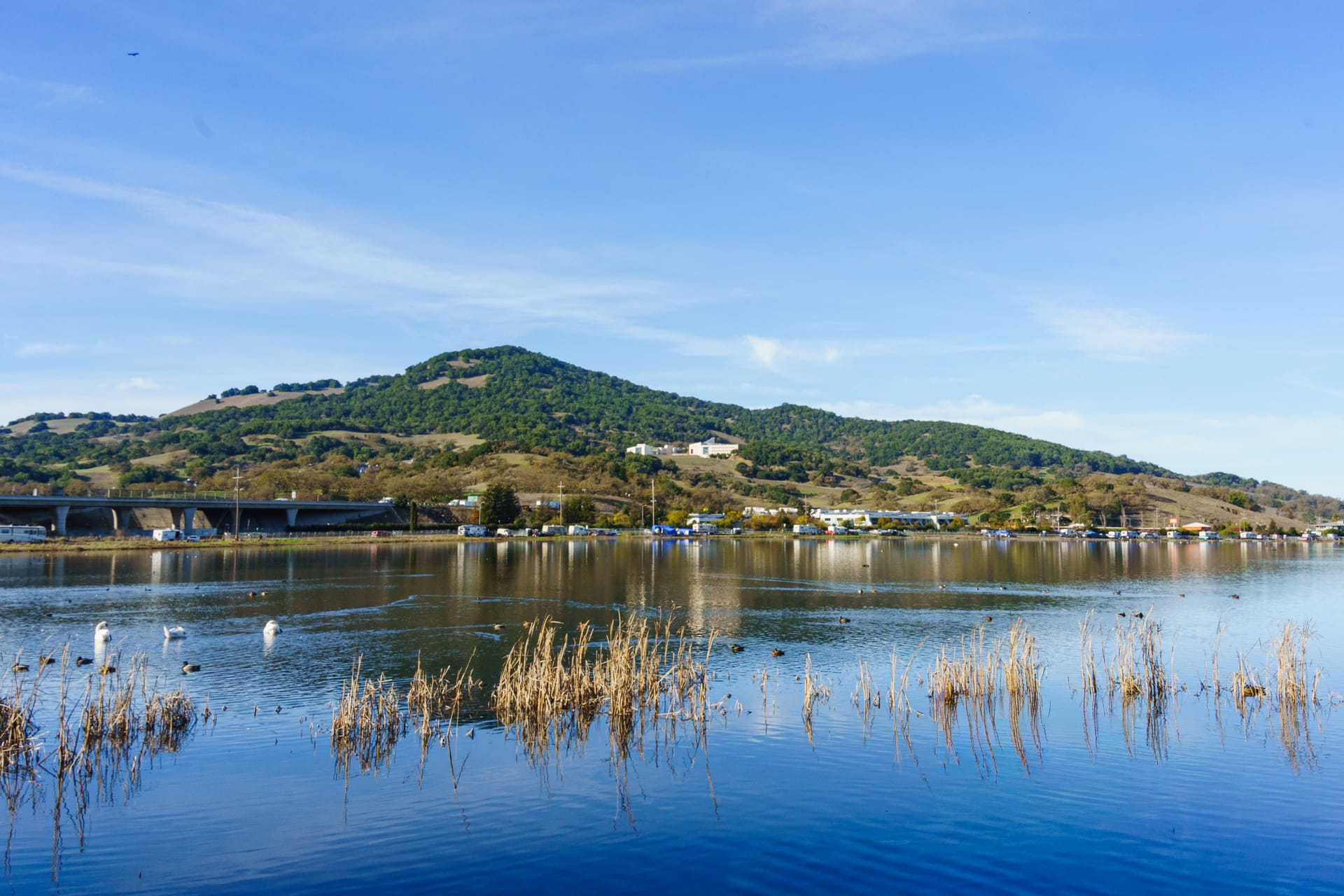 Meadow Lake — local identity