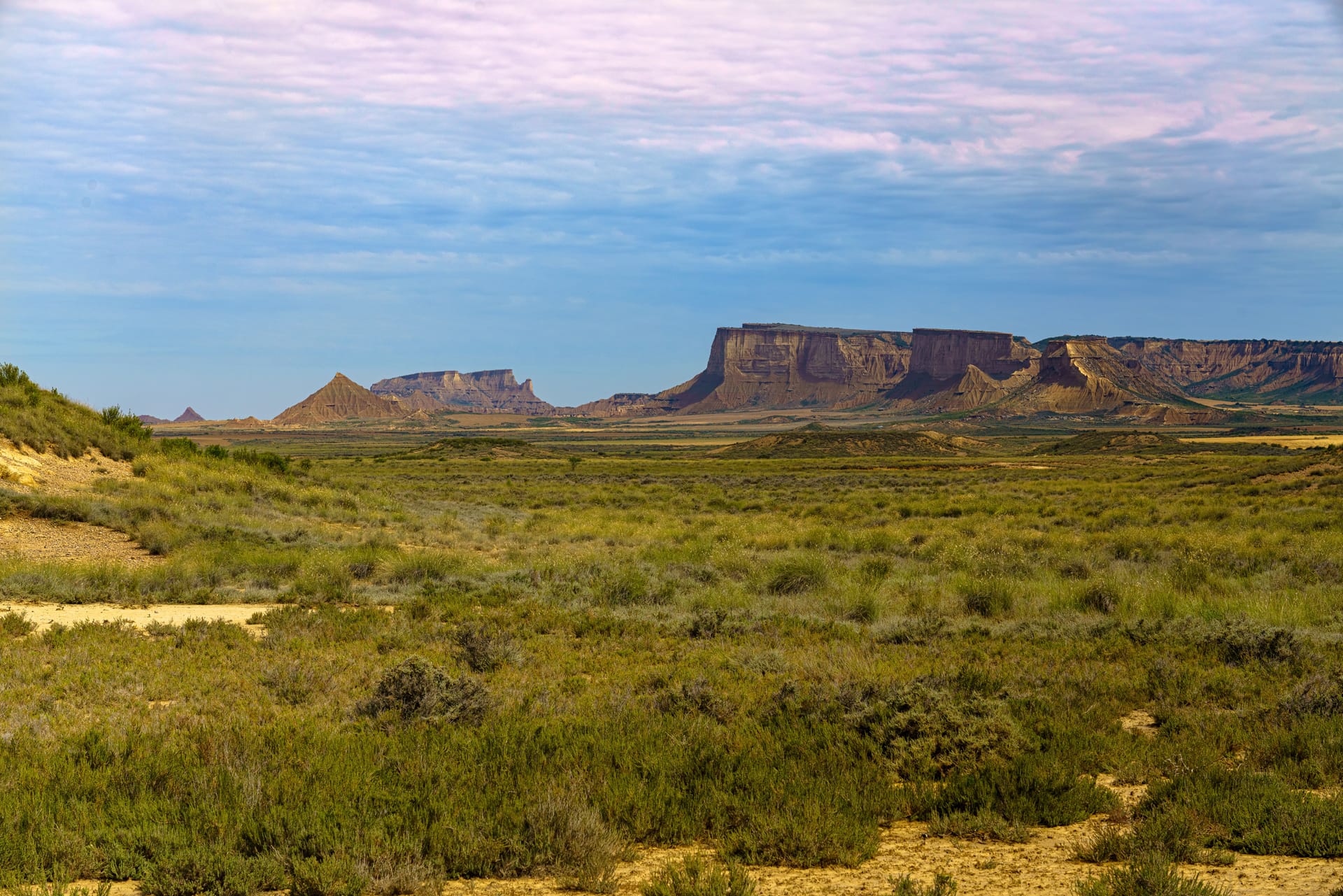 Mesa — local identity