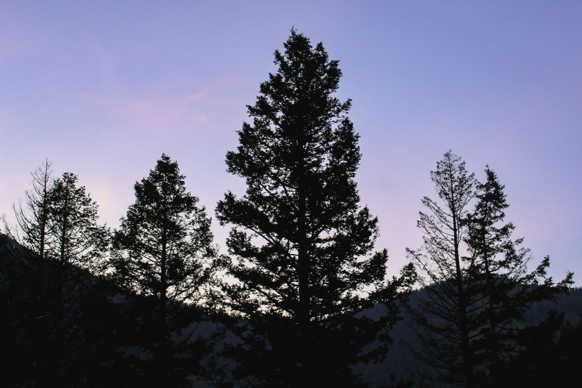 Missoula — local identity