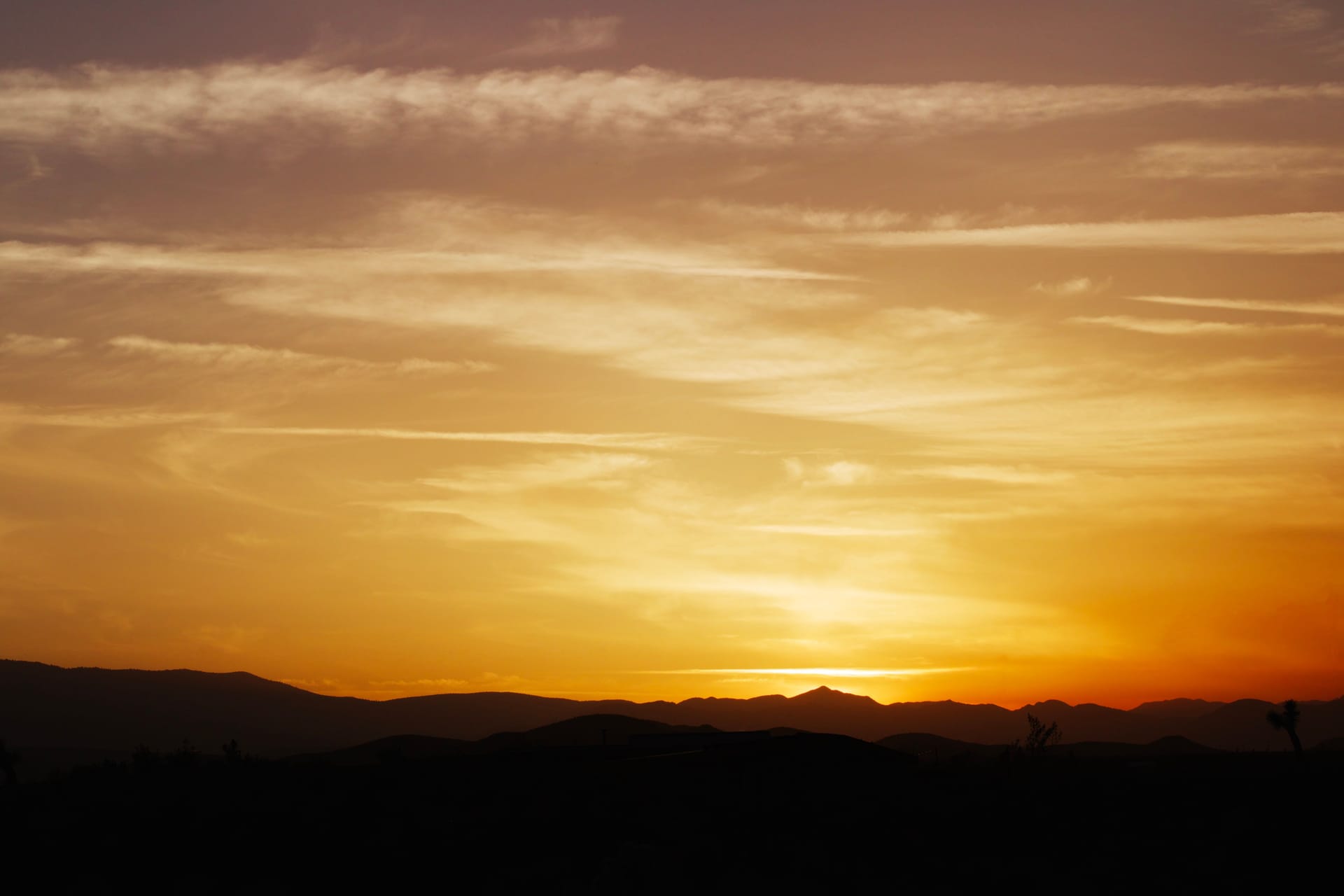 Mojave — local identity