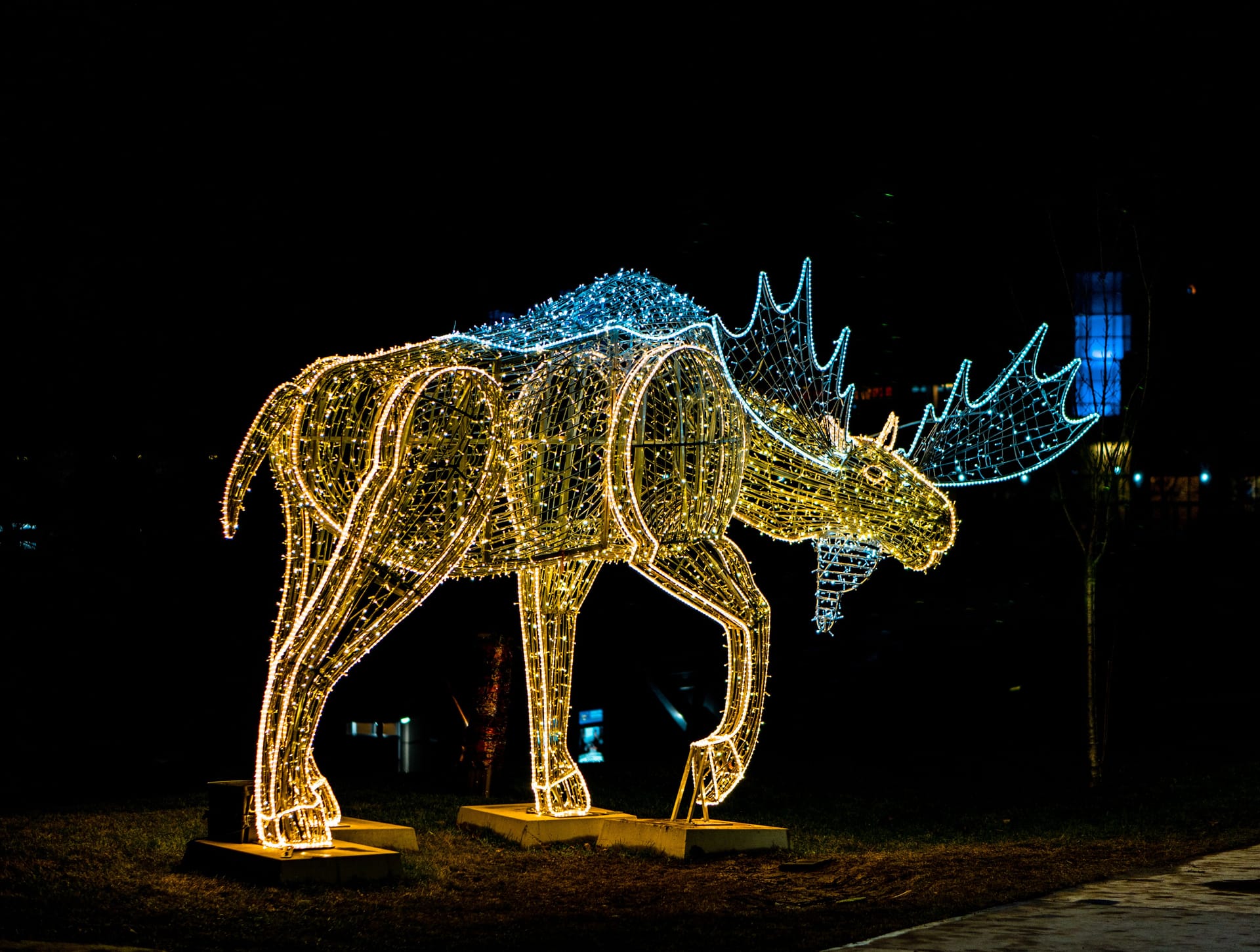 Moose Jaw — local identity