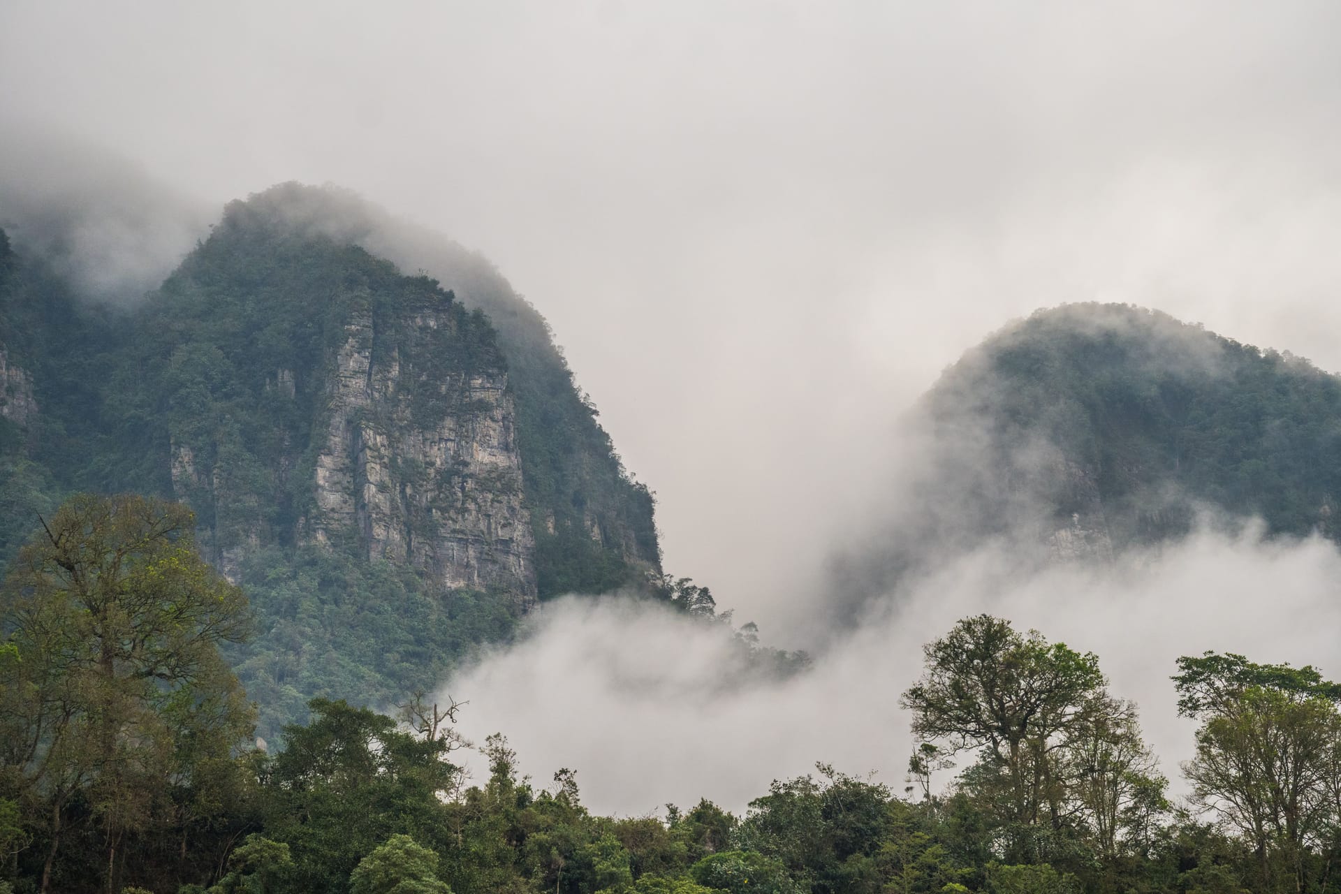 Mulu — local identity