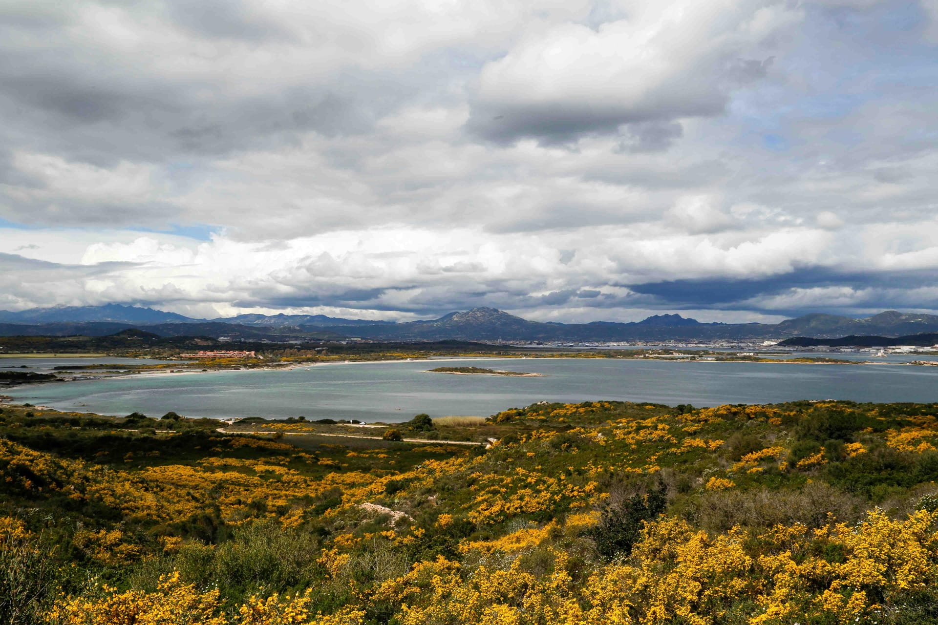 Olbia (SS) — local identity
