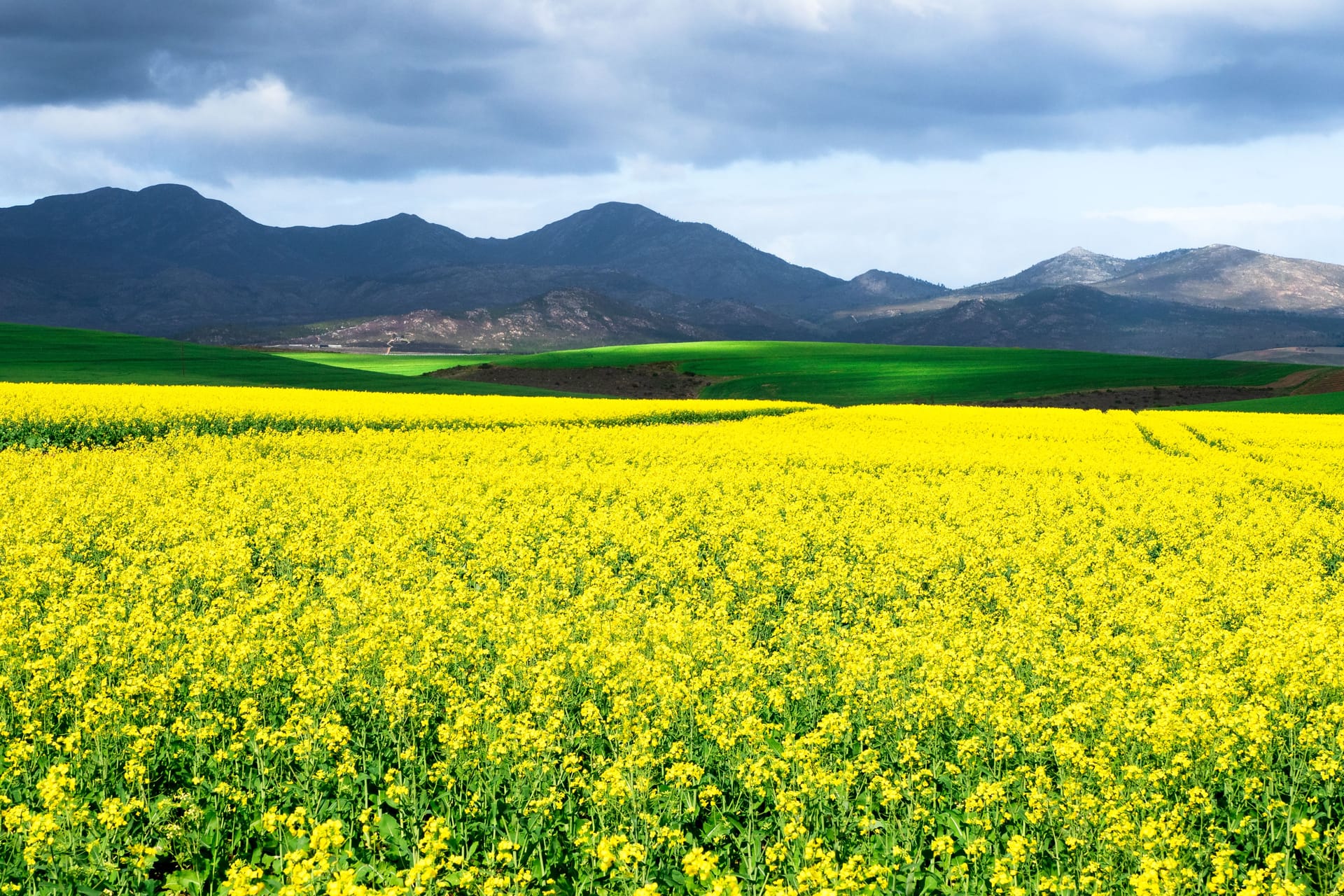 Overberg — local identity