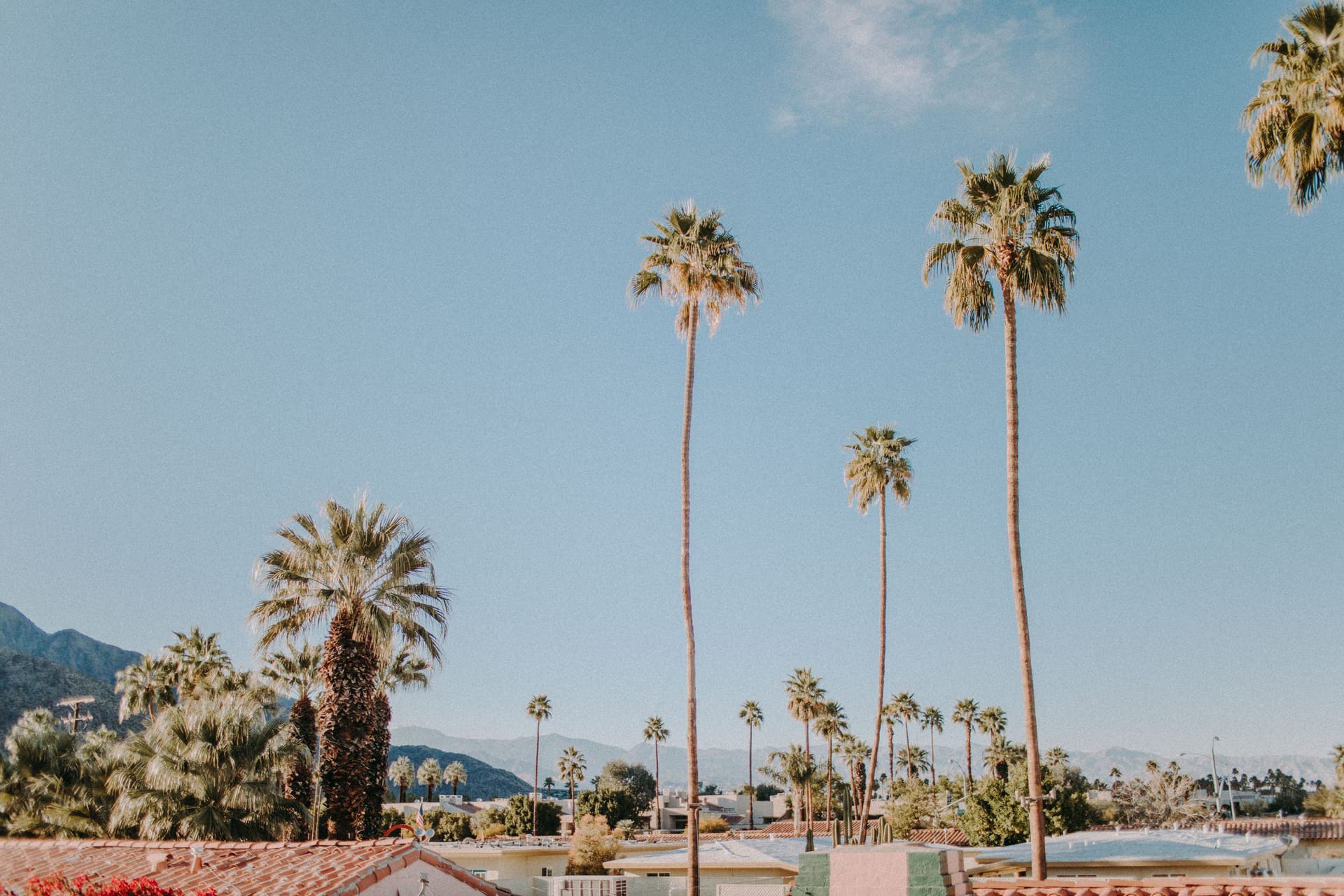 Palm Springs — local identity