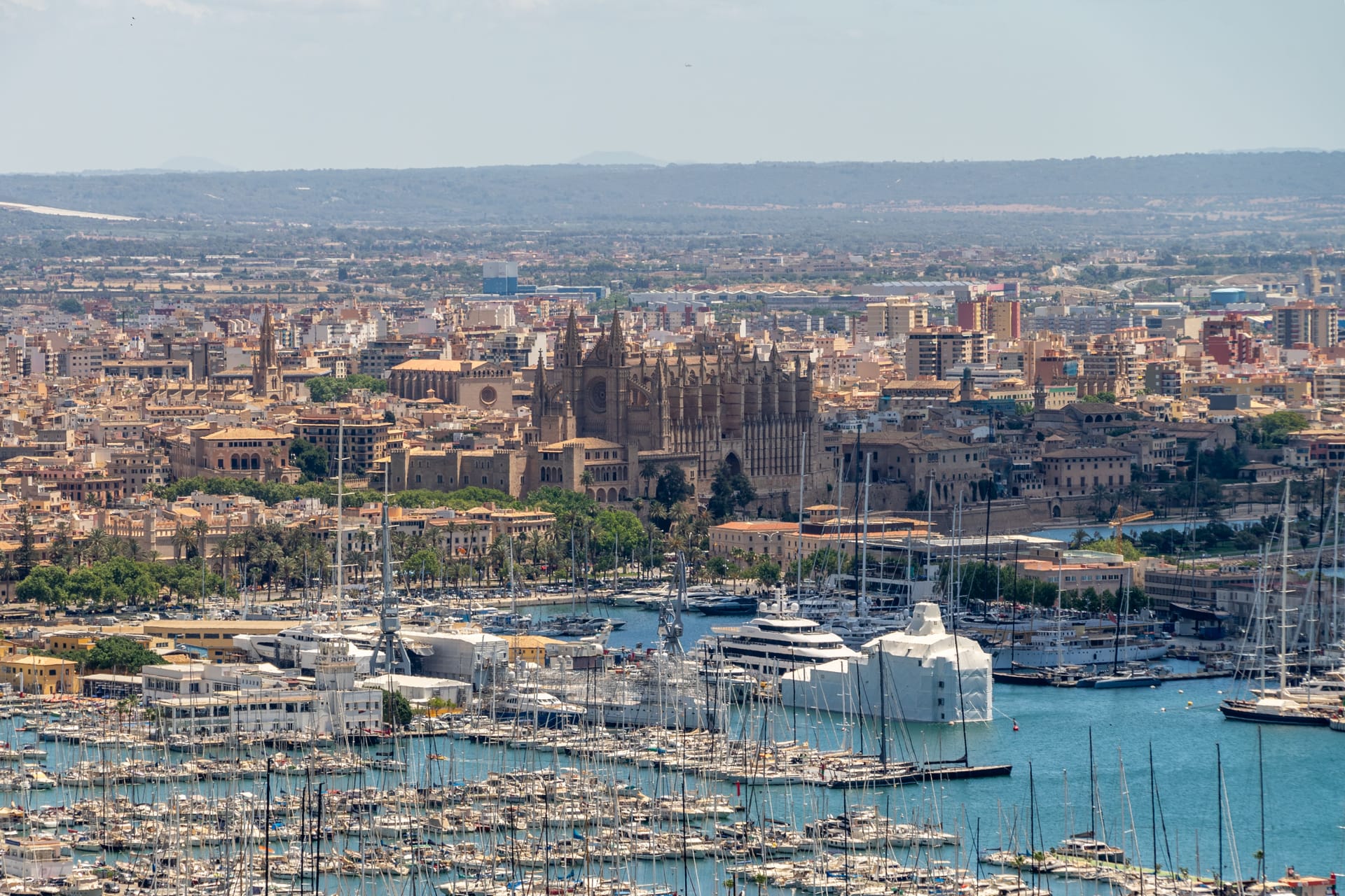Palma de Mallorca — local identity