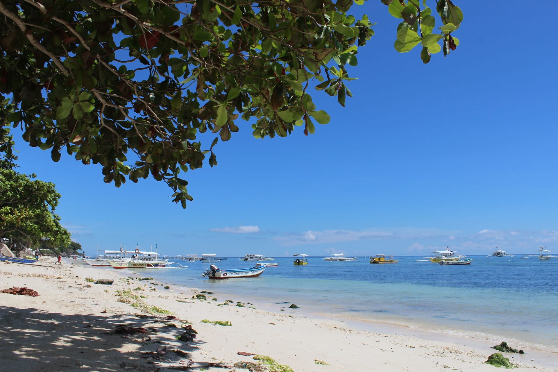 Panglao — local identity