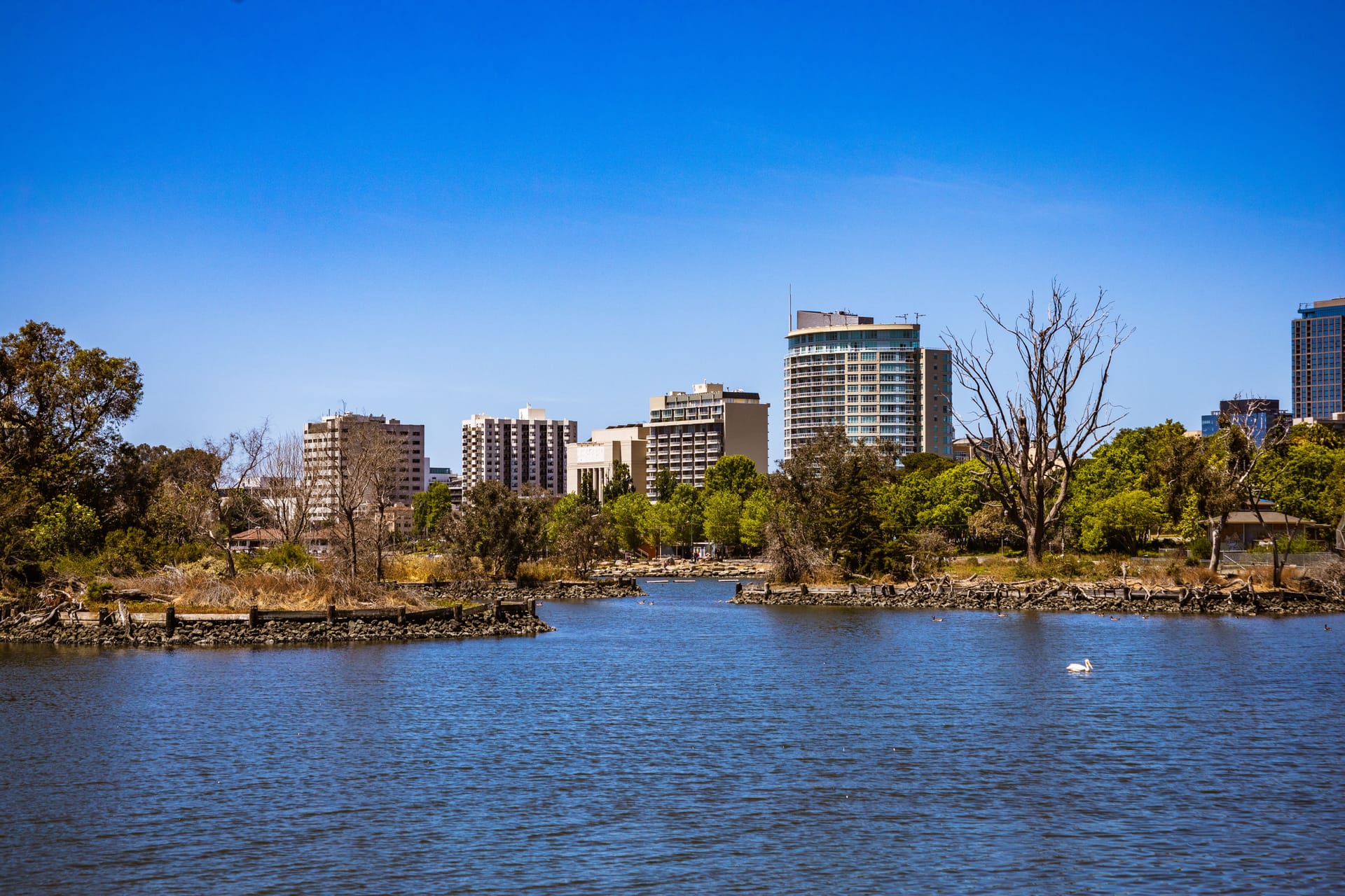 Parkes — local identity