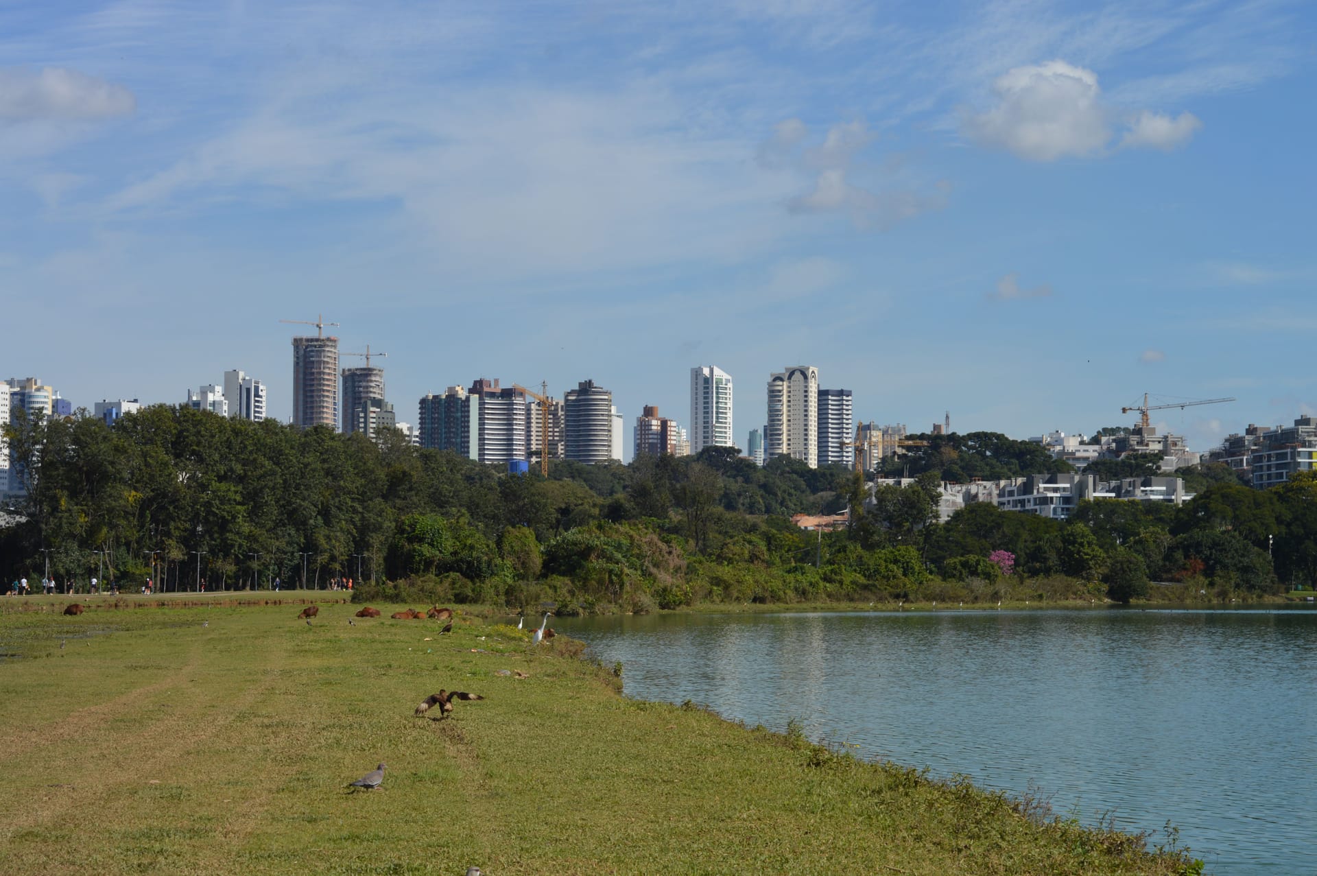 Pato Branco — local identity