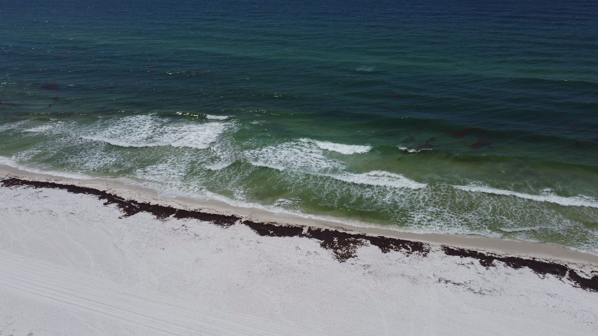 Pensacola — local identity