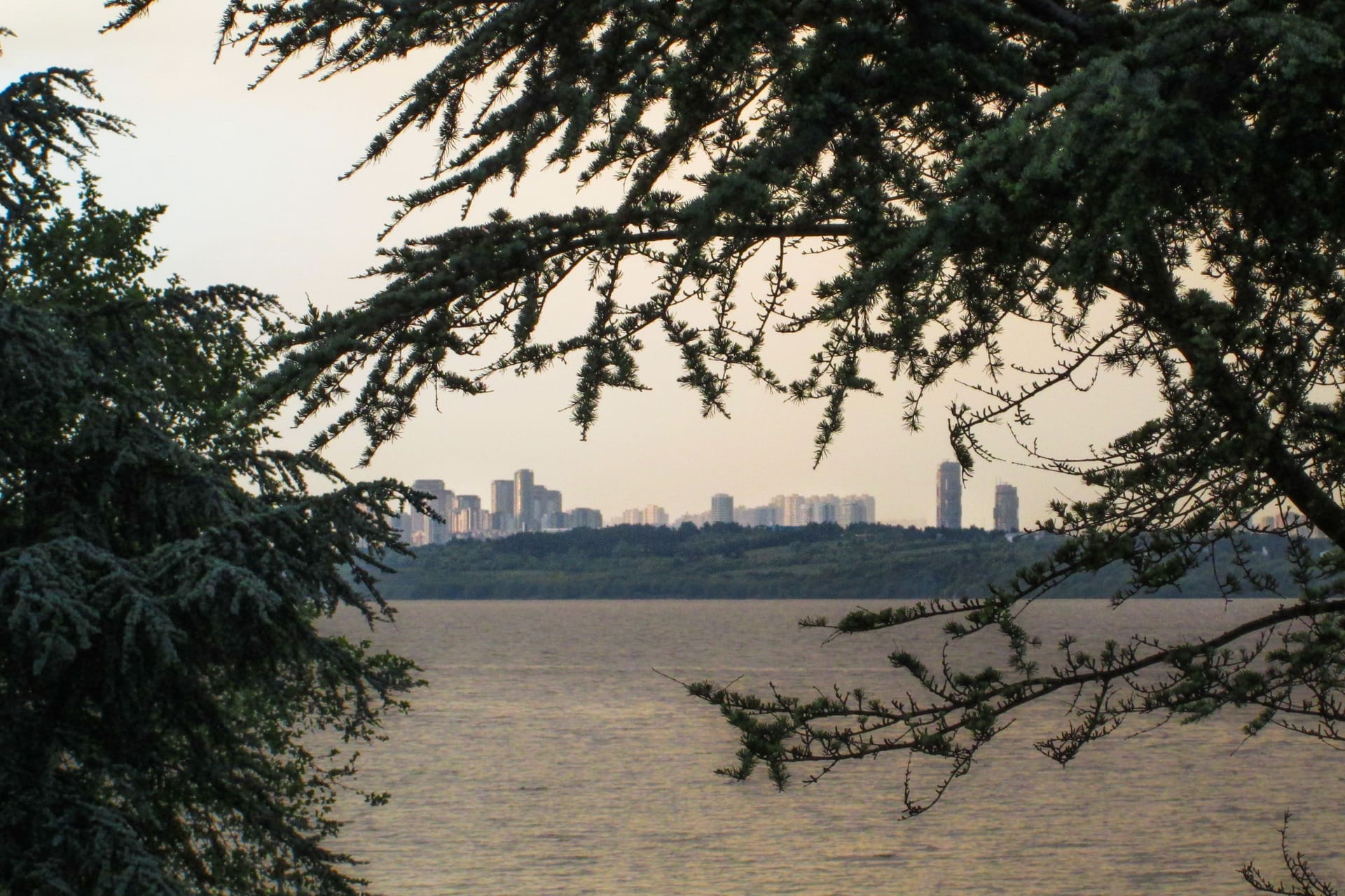 Pickle Lake — local identity