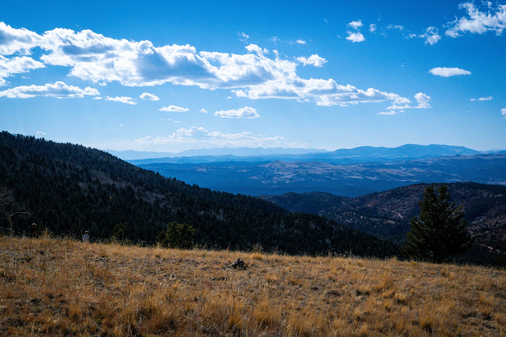 Pincher Creek — local identity