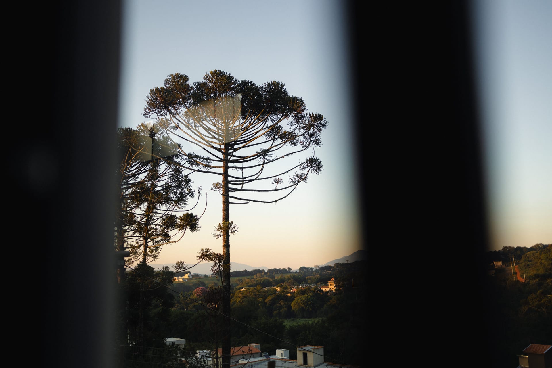 Pinheiro — local identity