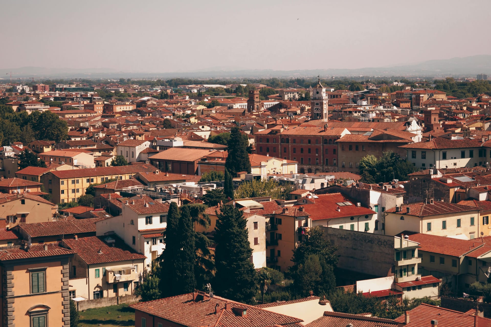 Pisa (PI) — local identity