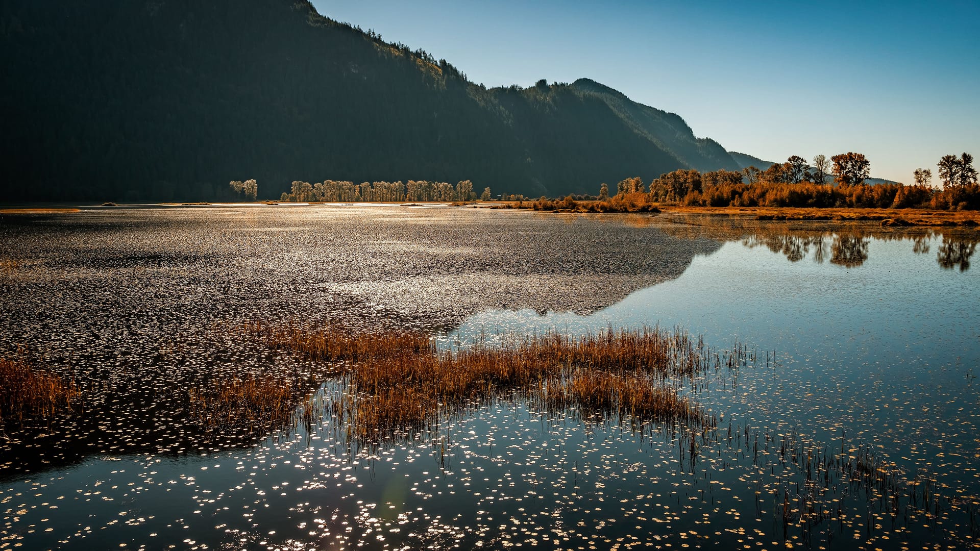 Pitt Meadows — local identity