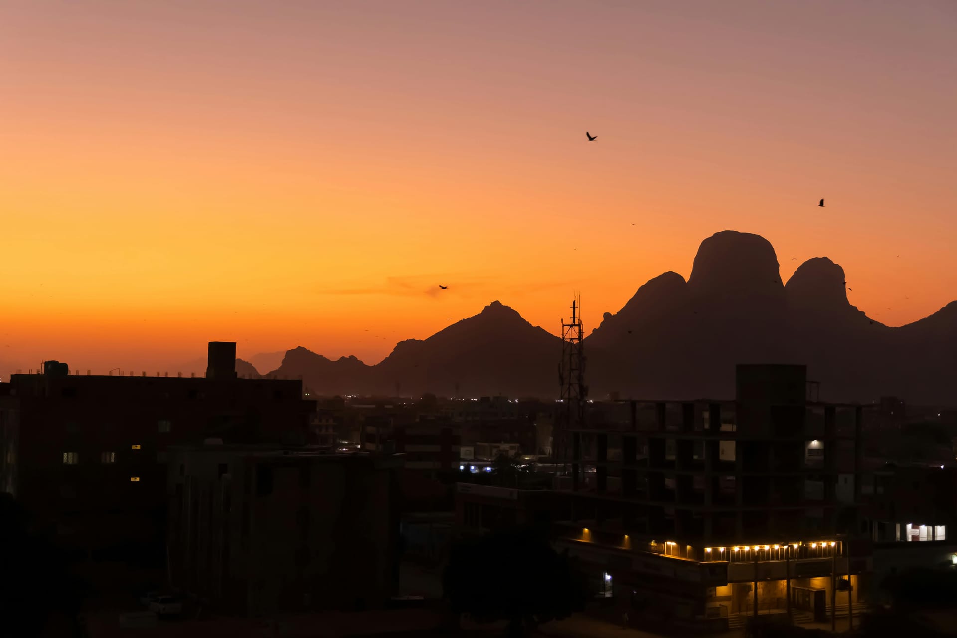 Port Sudan — local identity