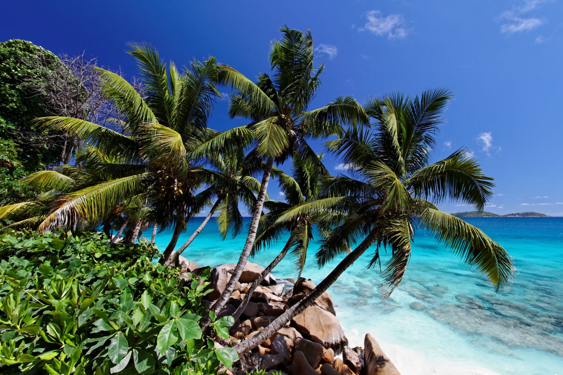 Praslin Island — local identity