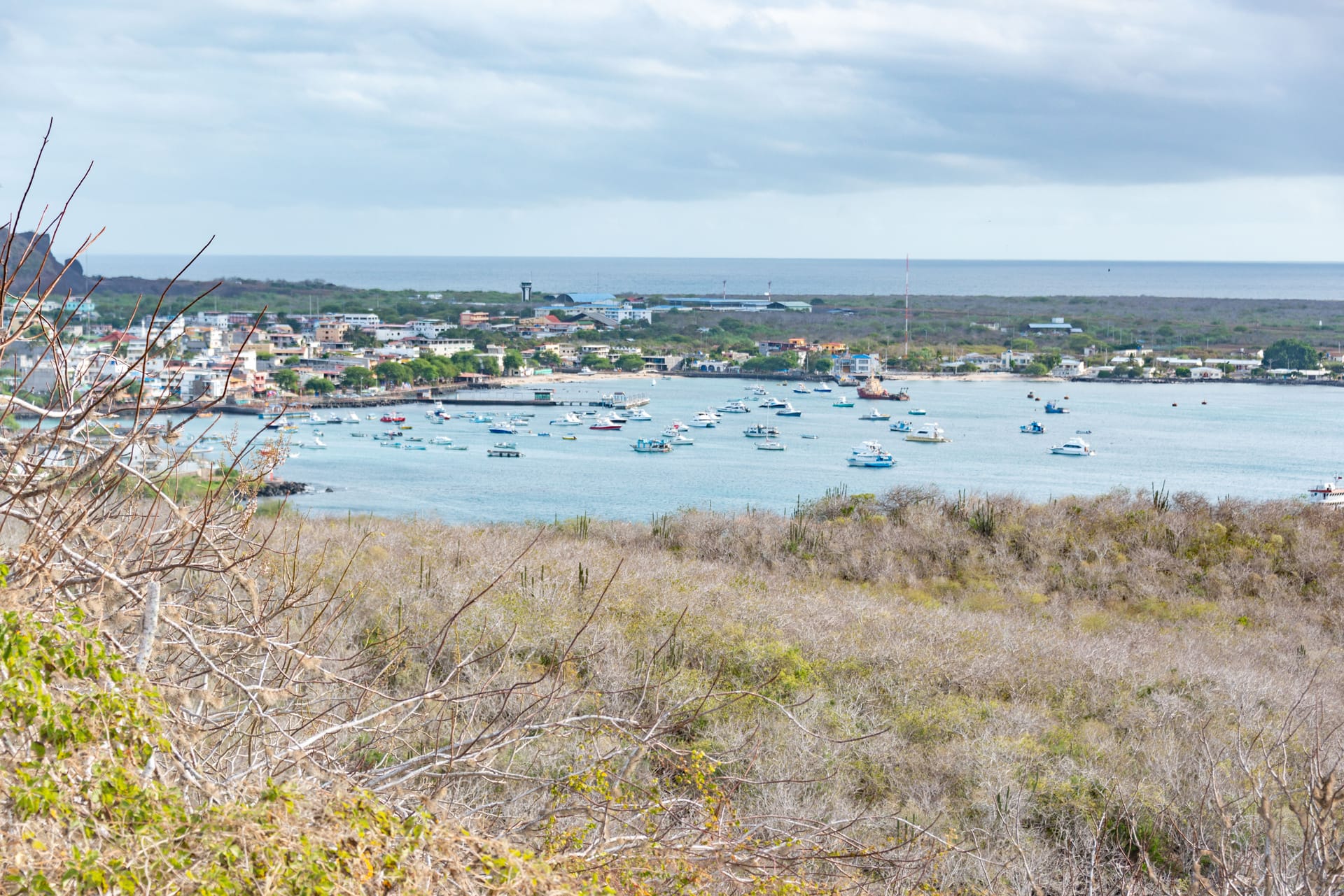 Puerto Santa Cruz — local identity