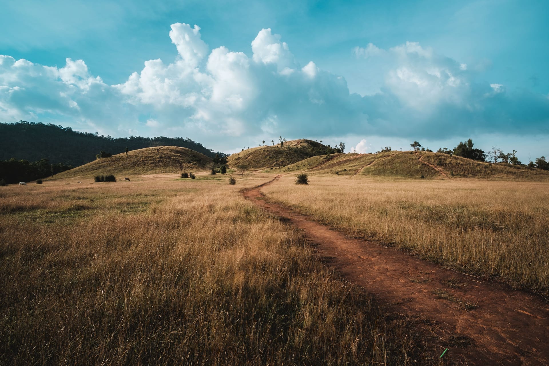 Ranong — local identity
