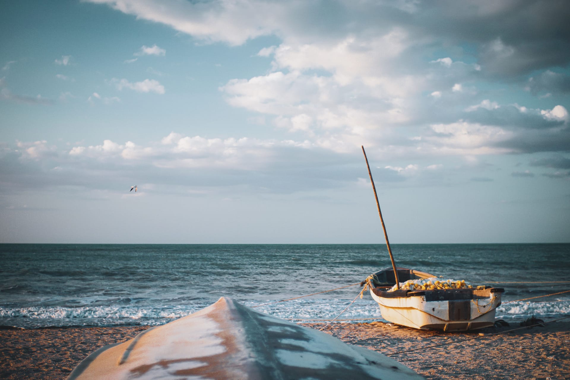 Riohacha — local identity