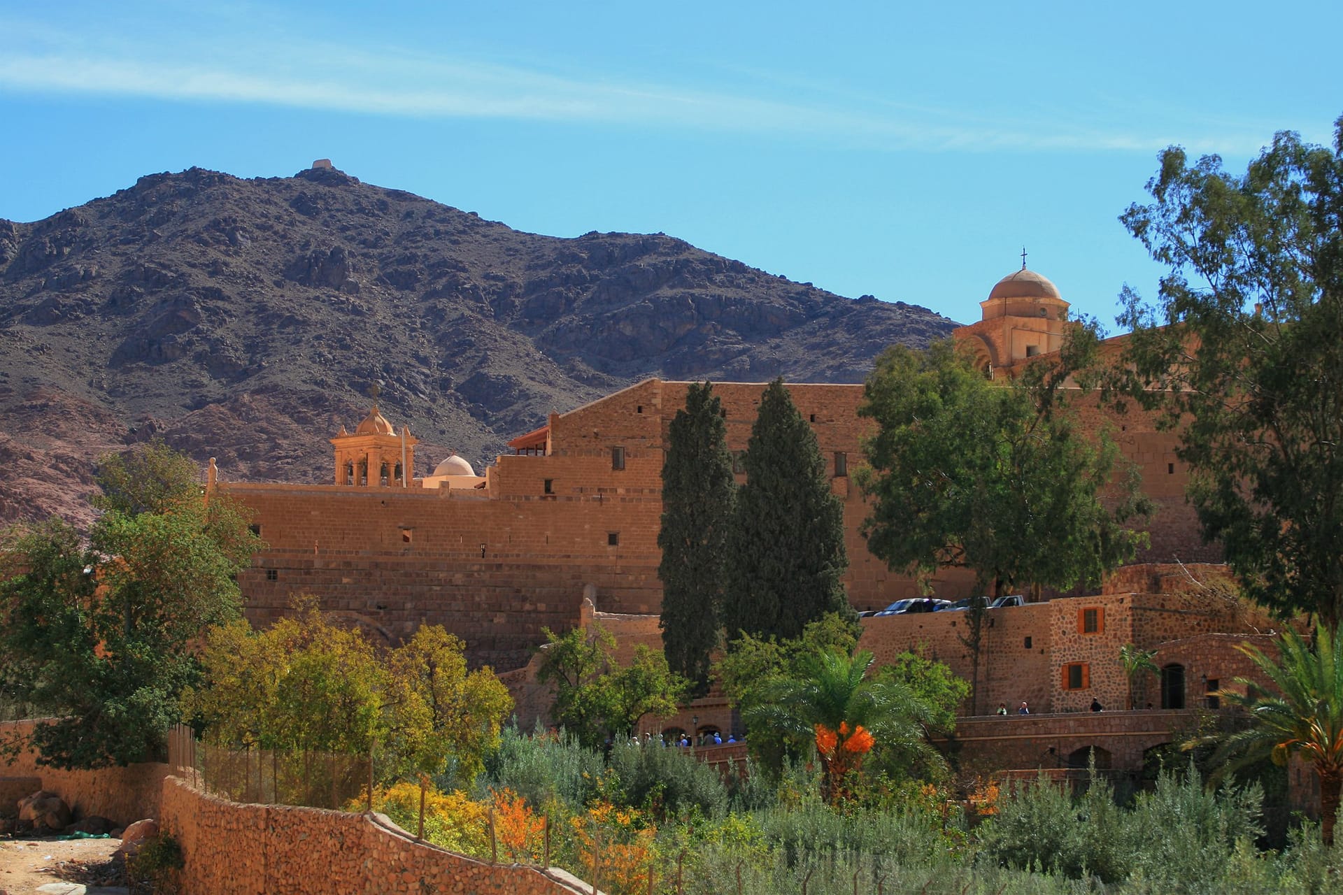 Saint Catherine — local identity