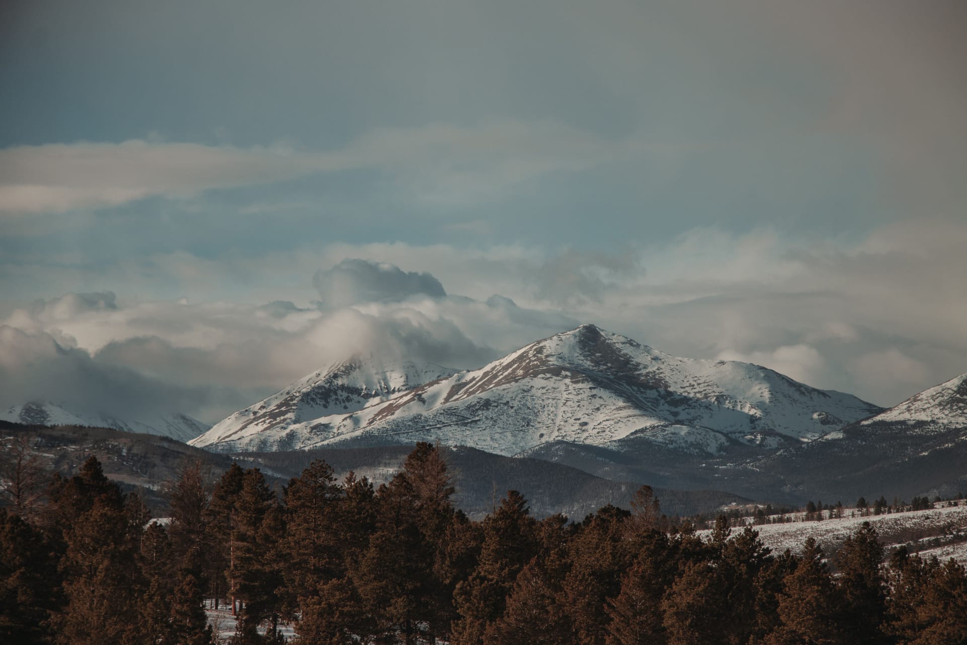 Salida — local identity