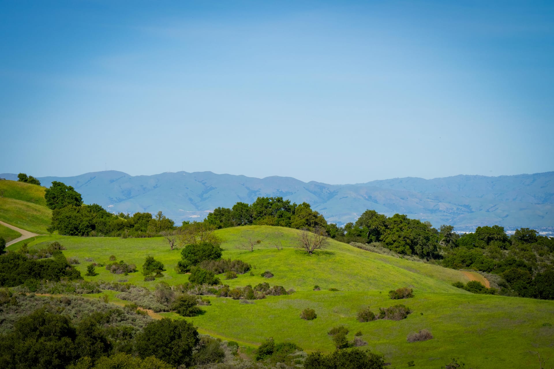 Santa Clara — local identity