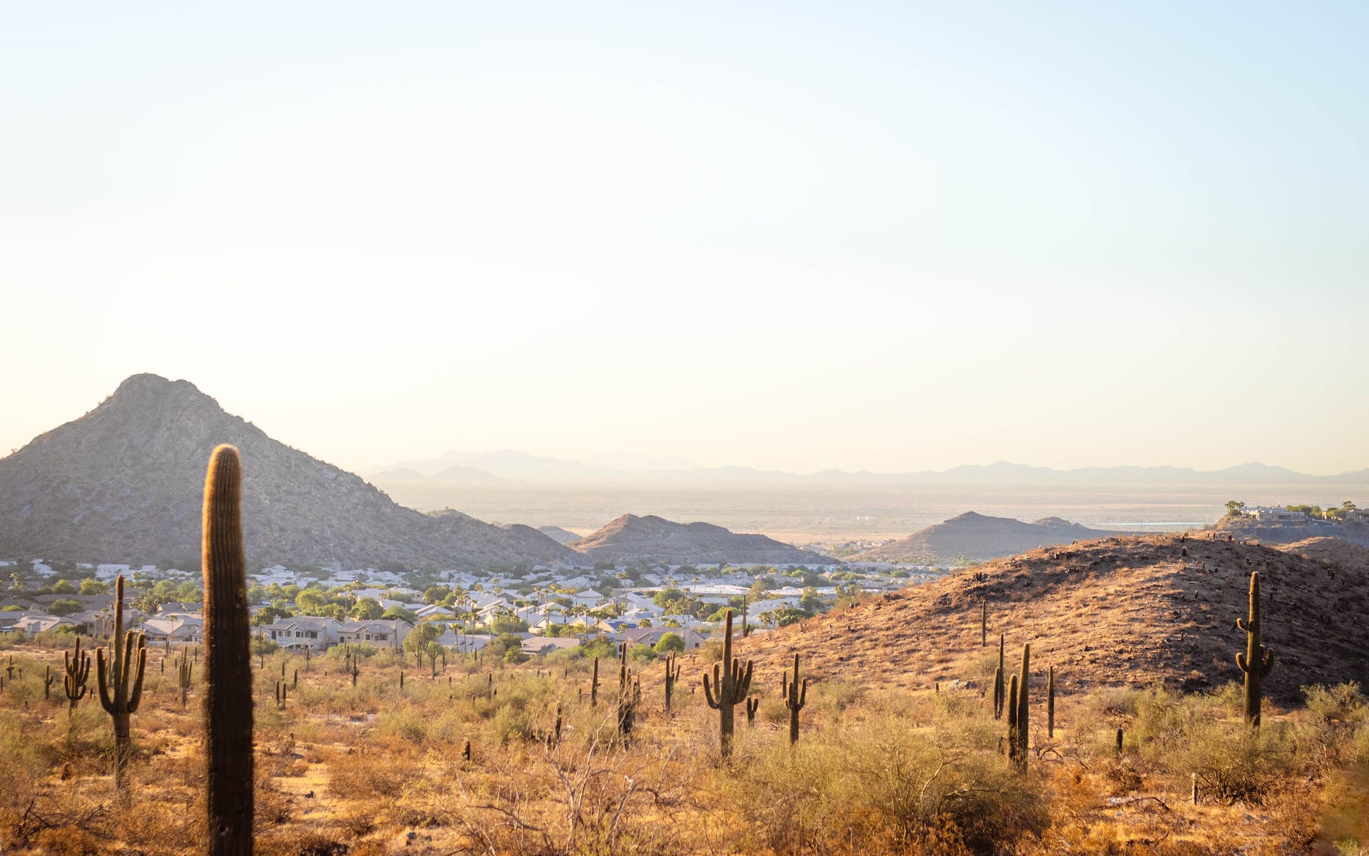 Scottsdale — local identity