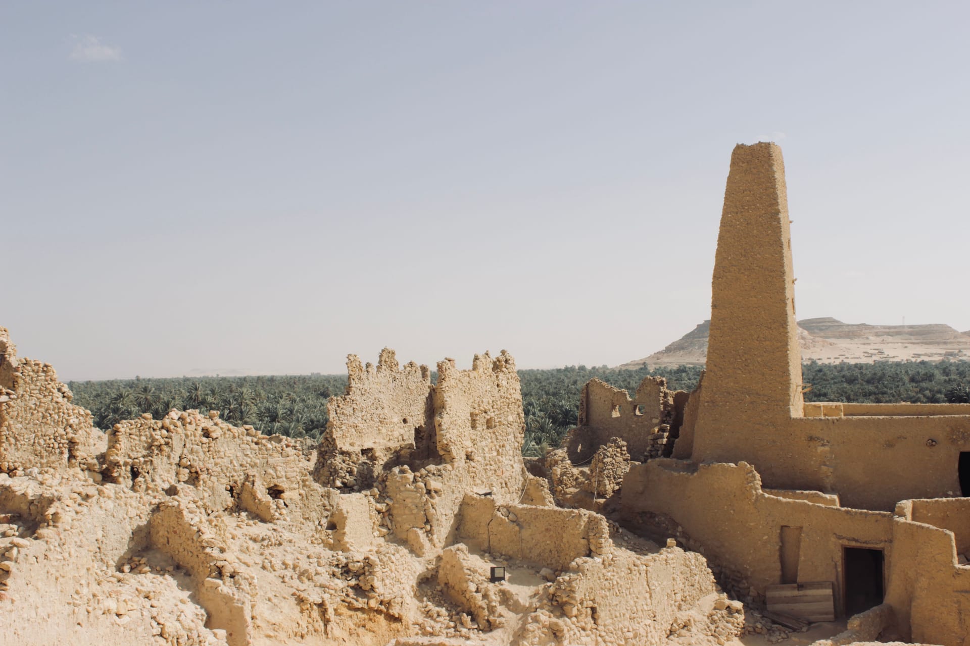 Siwa Oasis — local identity