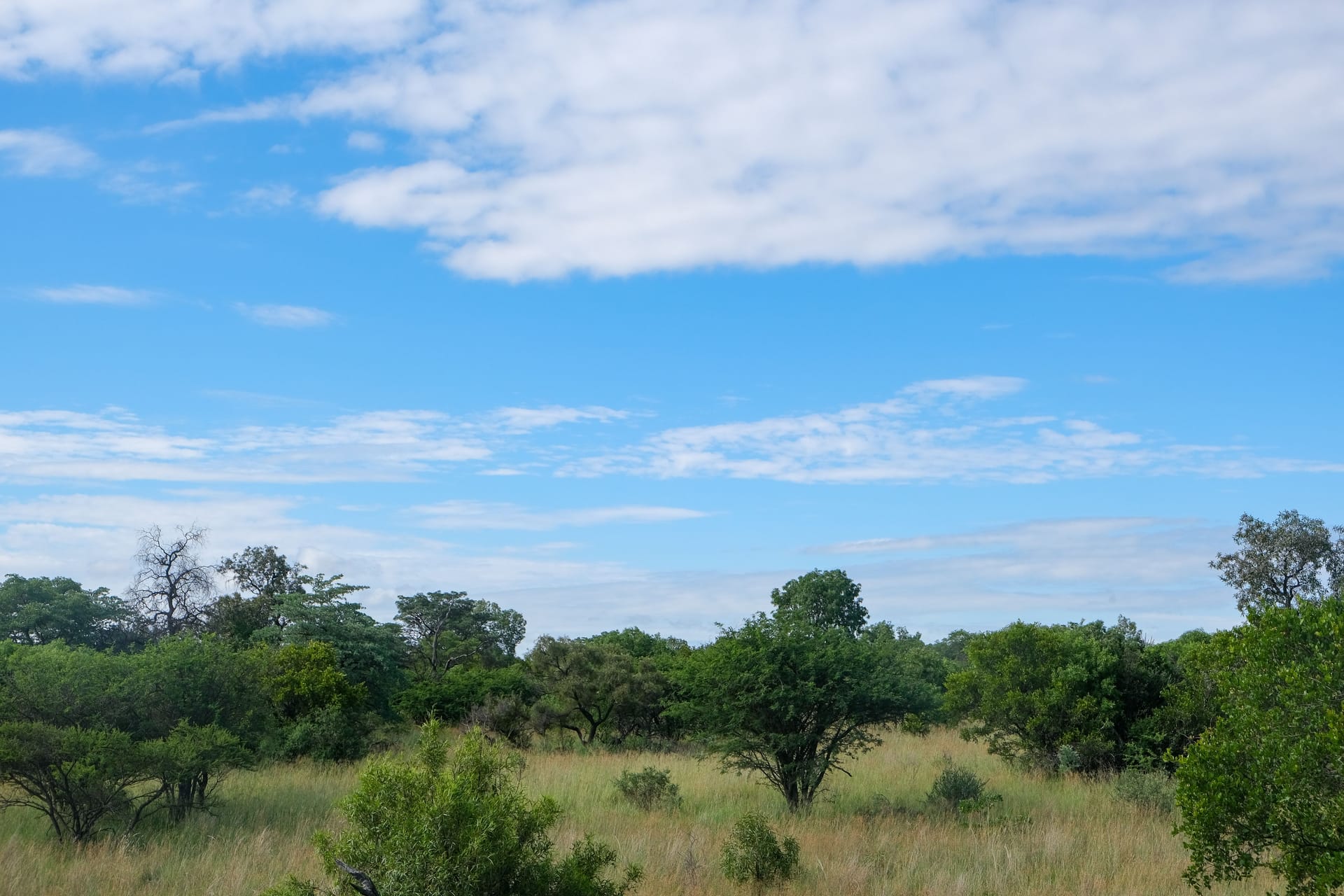 Skukuza — local identity