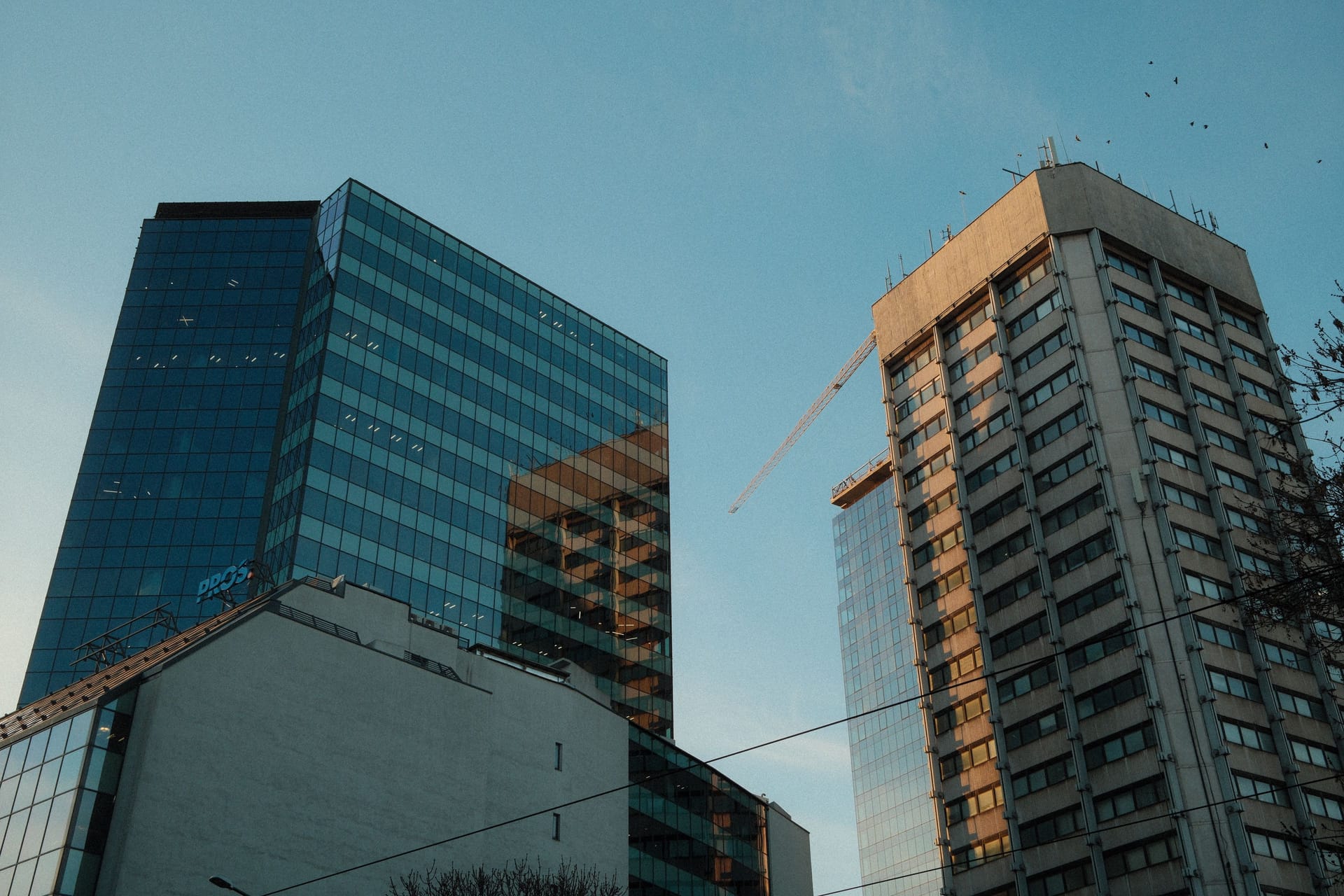 Sofia — local identity