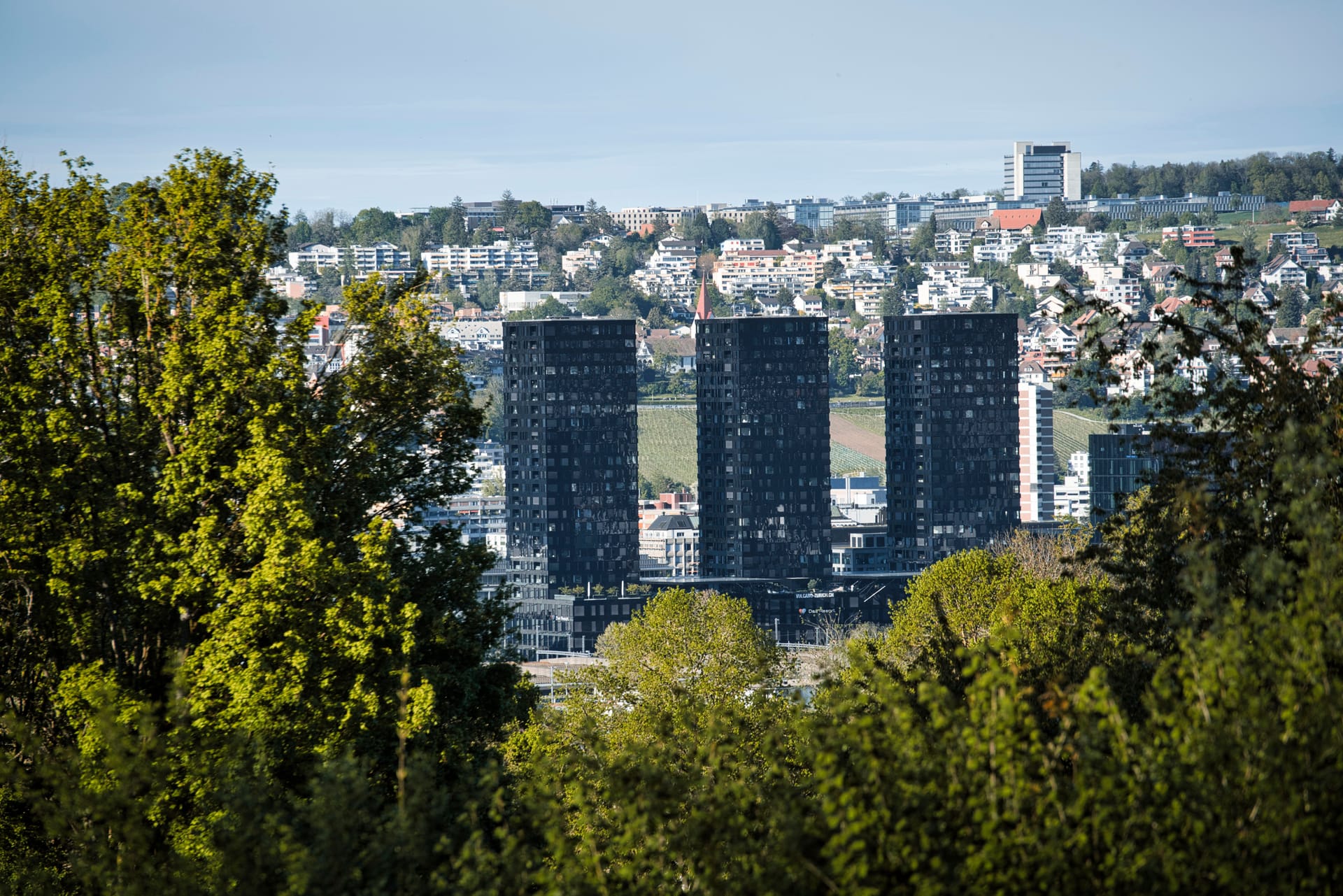Stuttgart — local identity