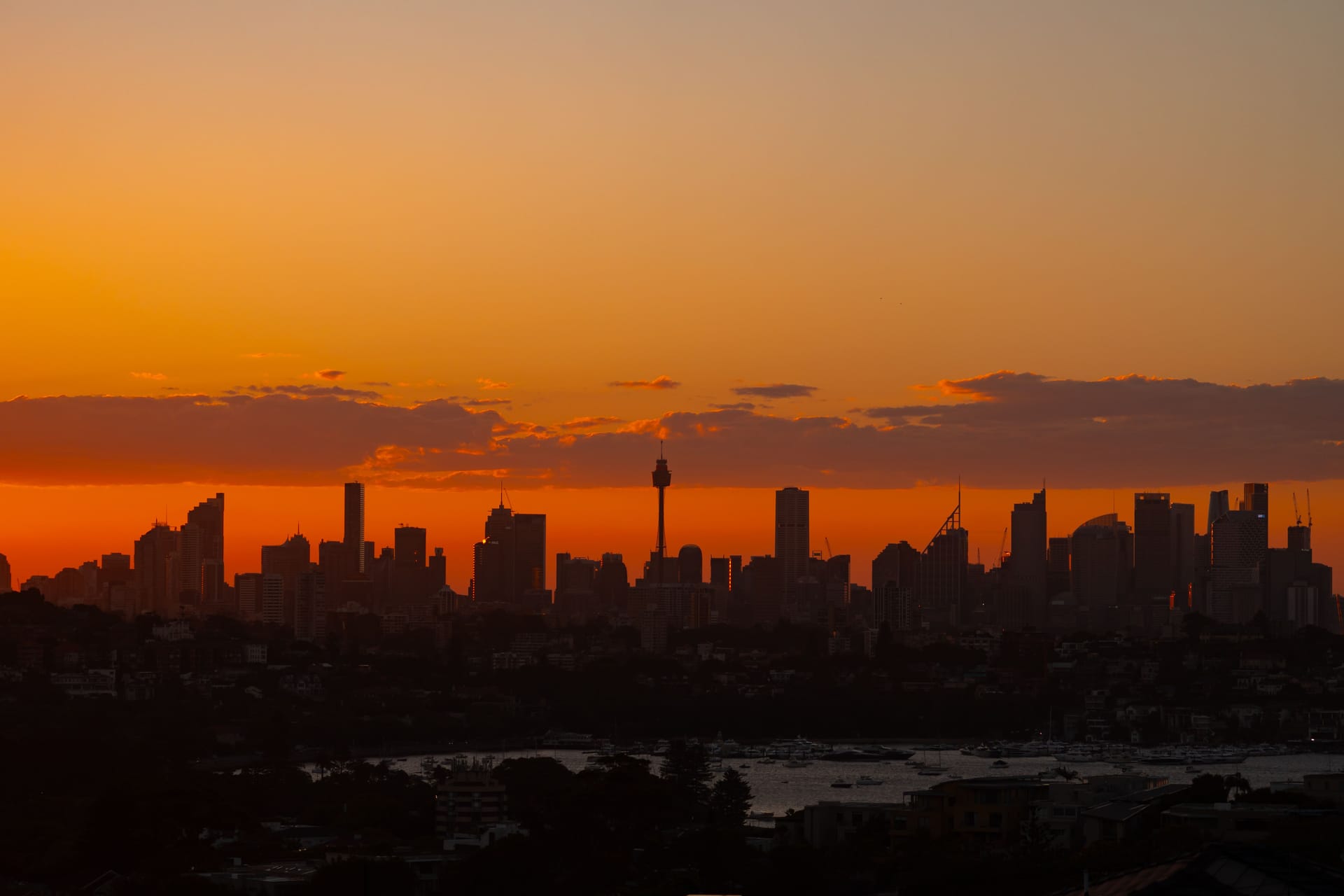 Sydney — local identity