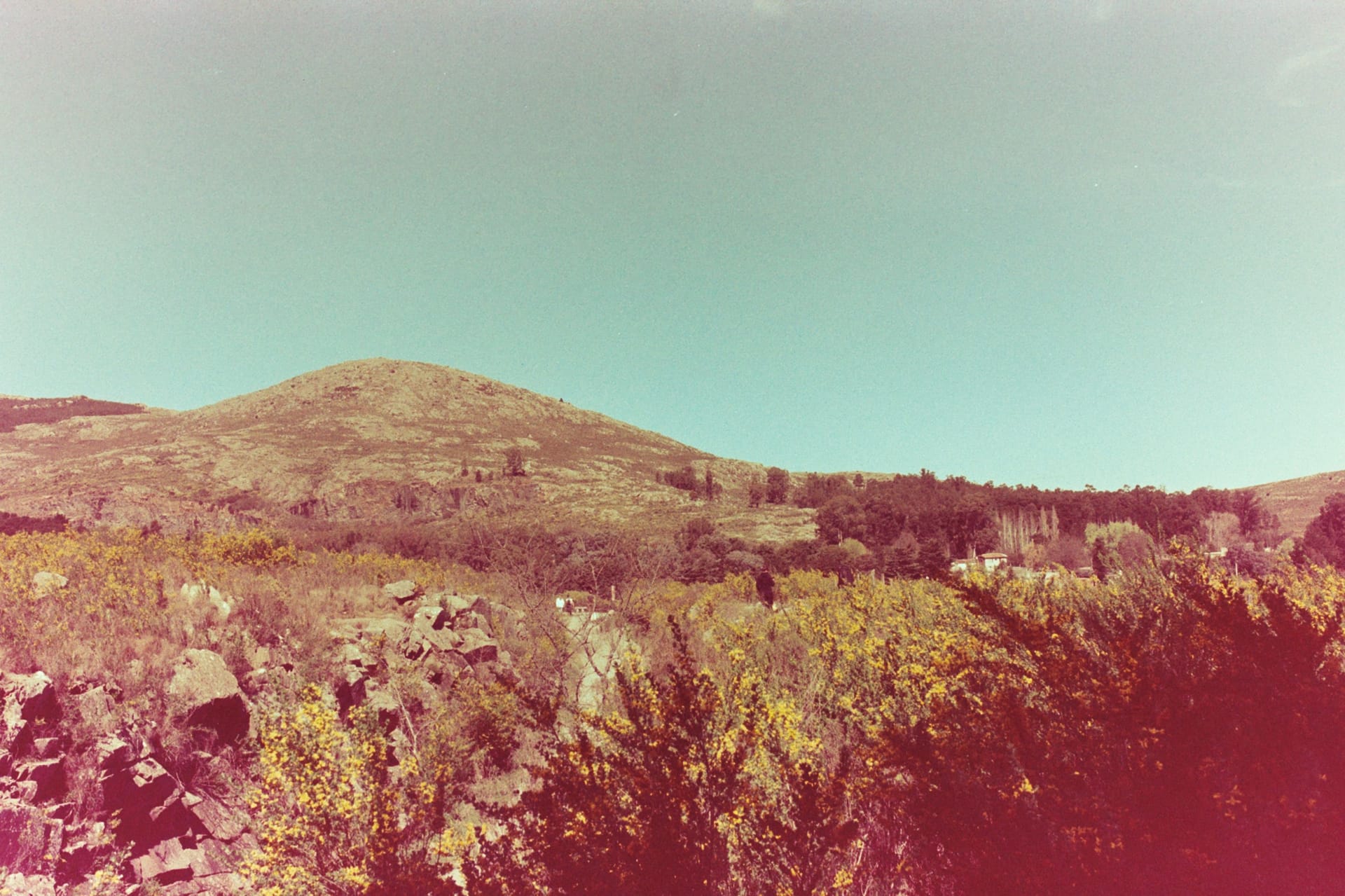 Tandil — local identity