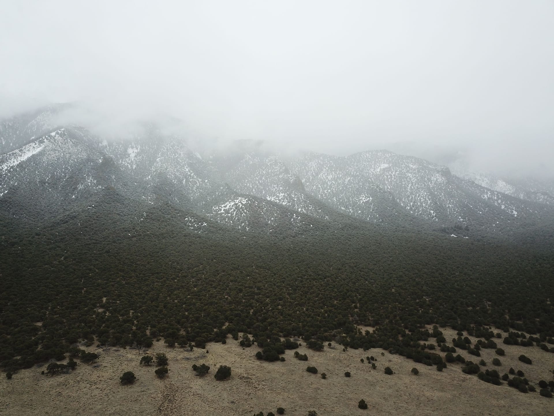 Taos — local identity