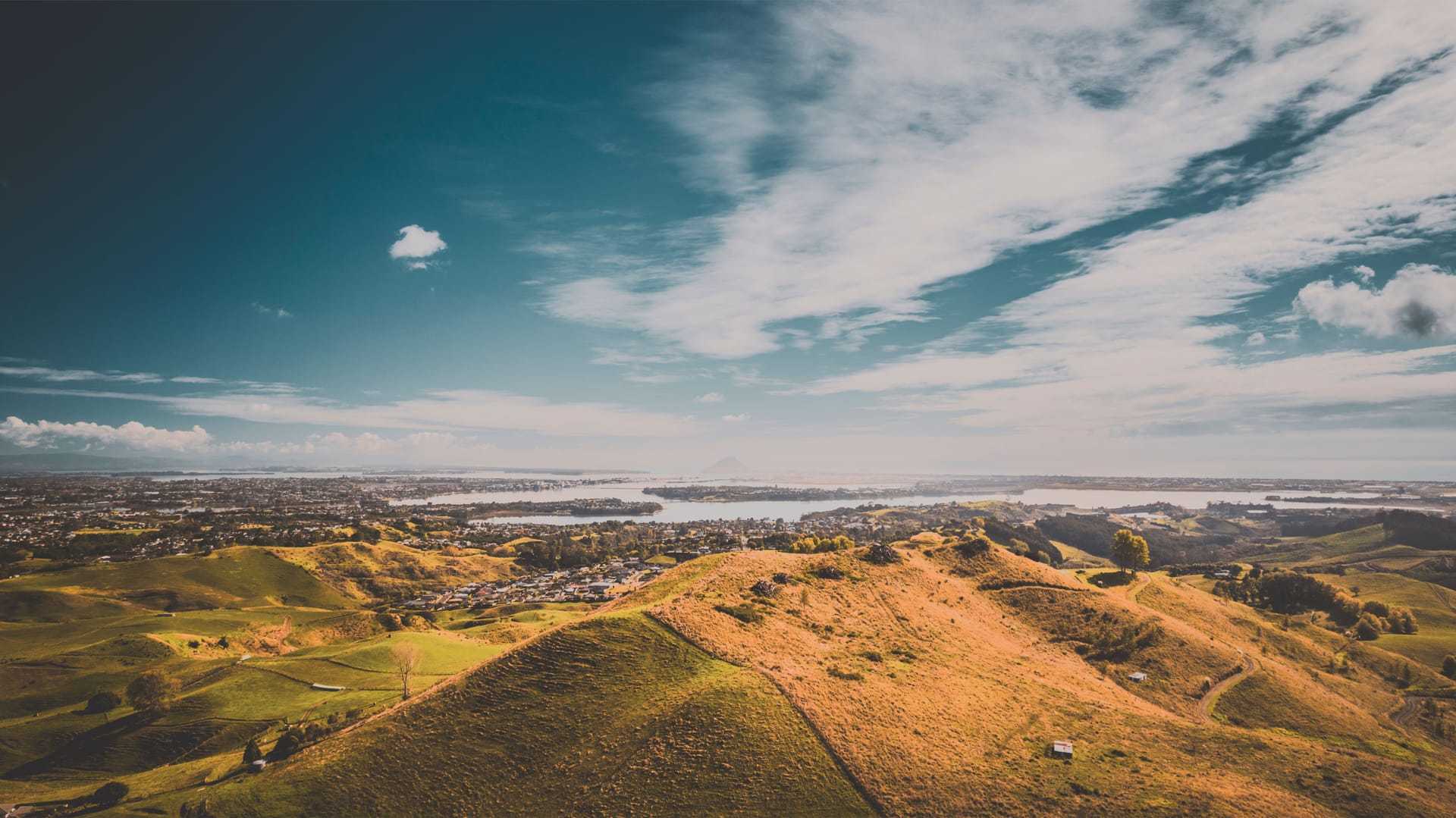 Tauranga — local identity