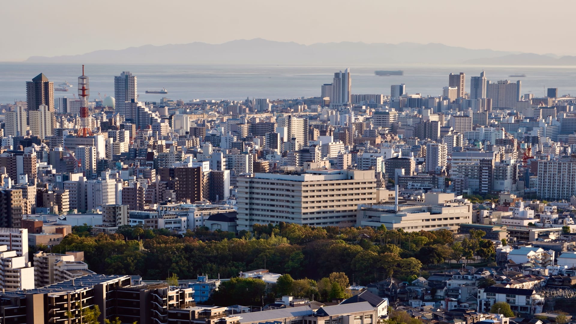 Tokushima — local identity