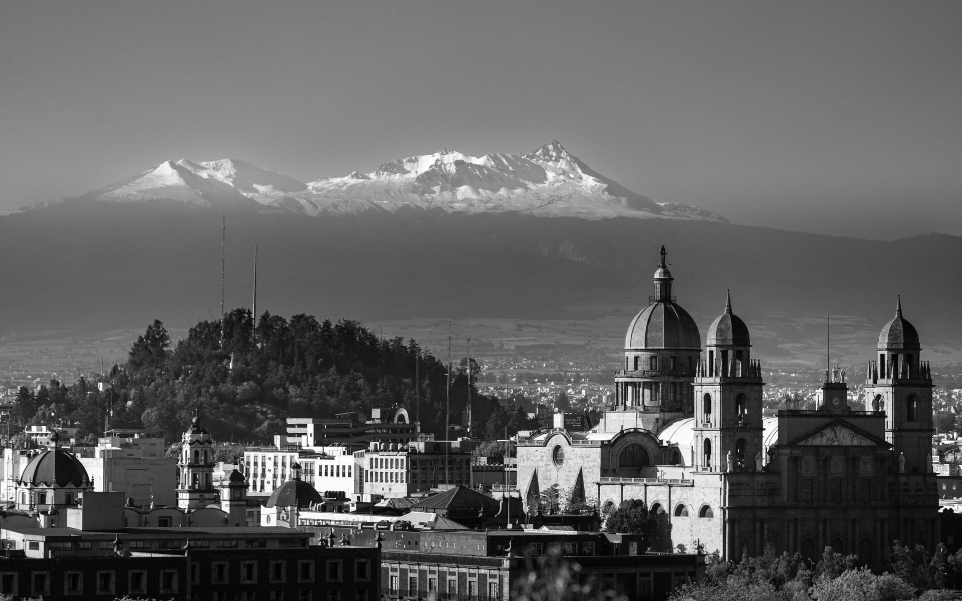 Toluca — local identity