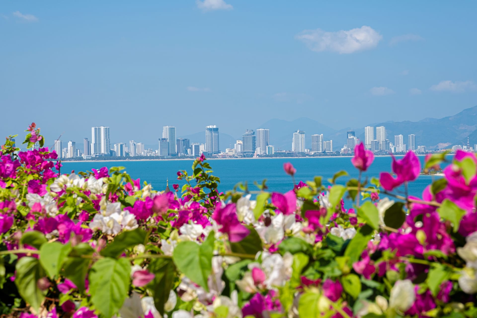Trang — local identity