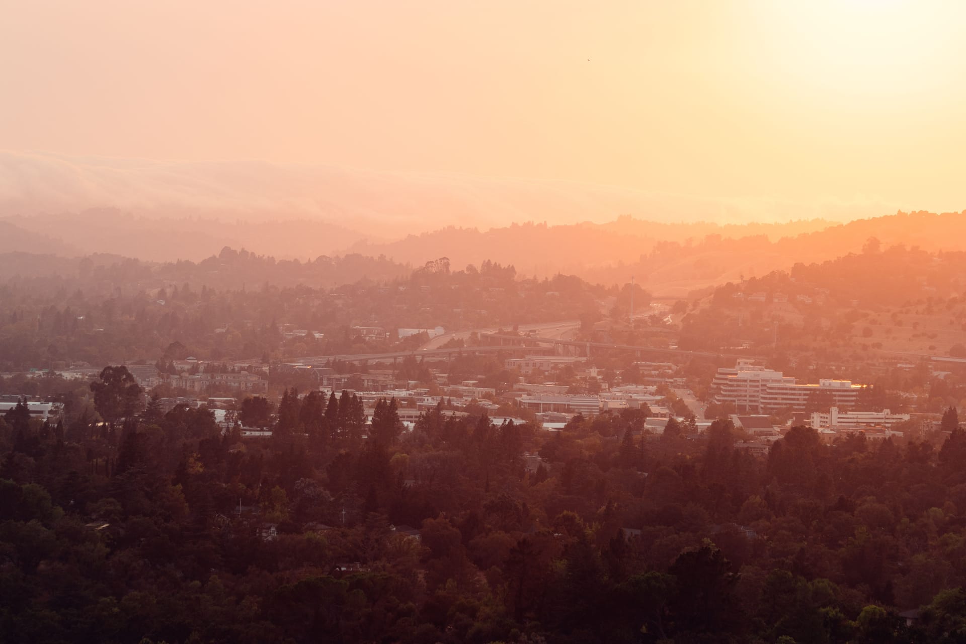 Ukiah — local identity