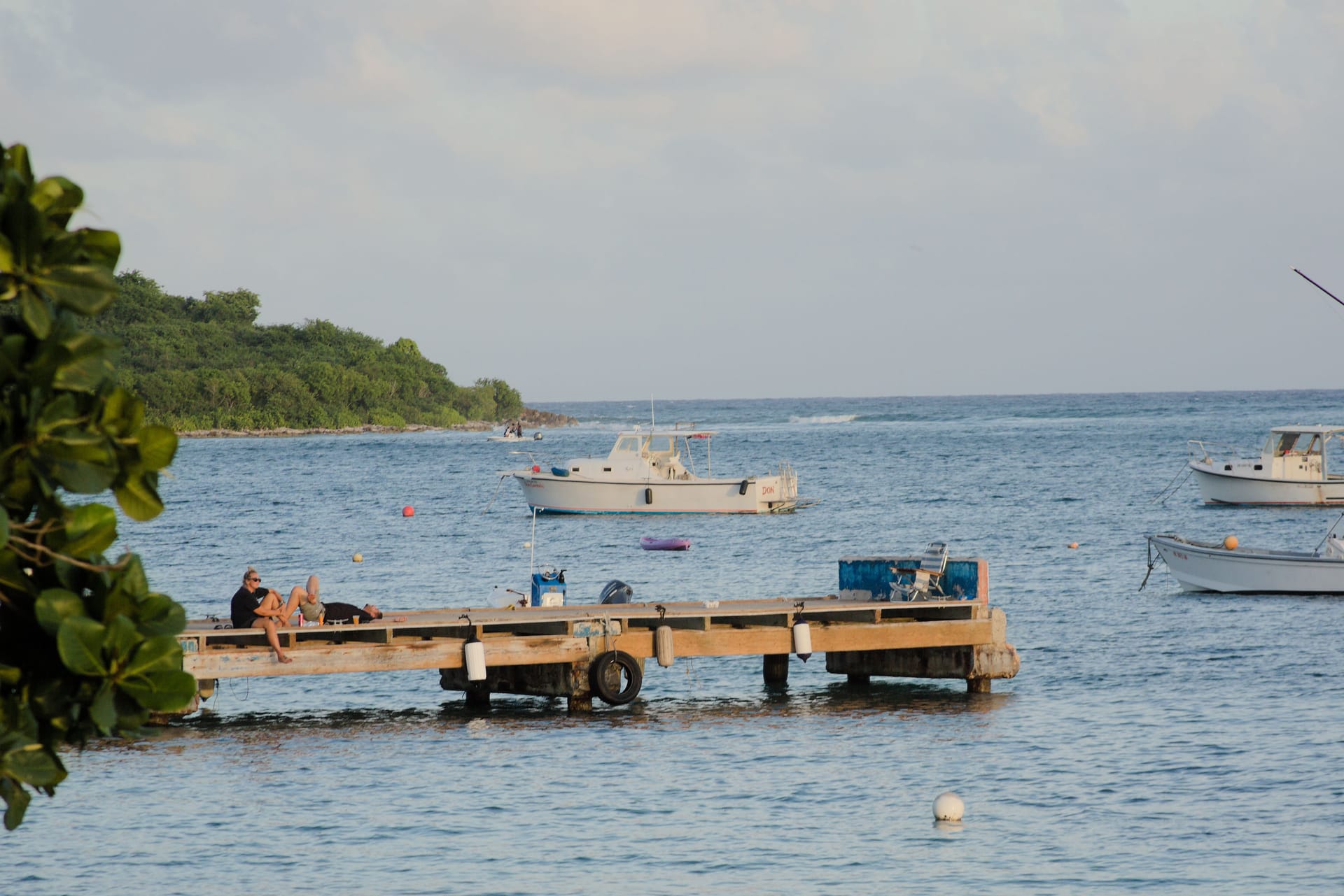 Vieques — local identity
