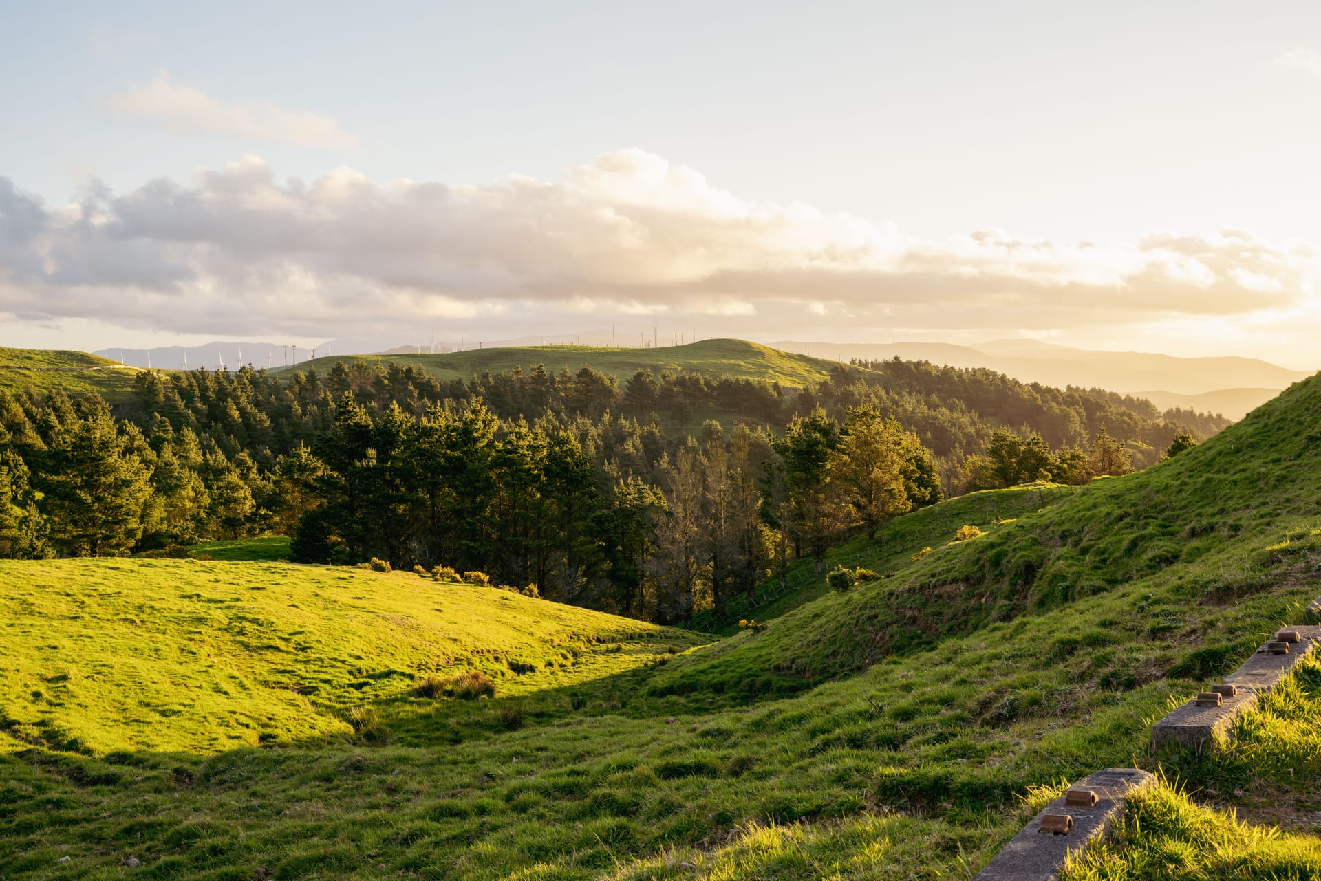 Wanganui — local identity