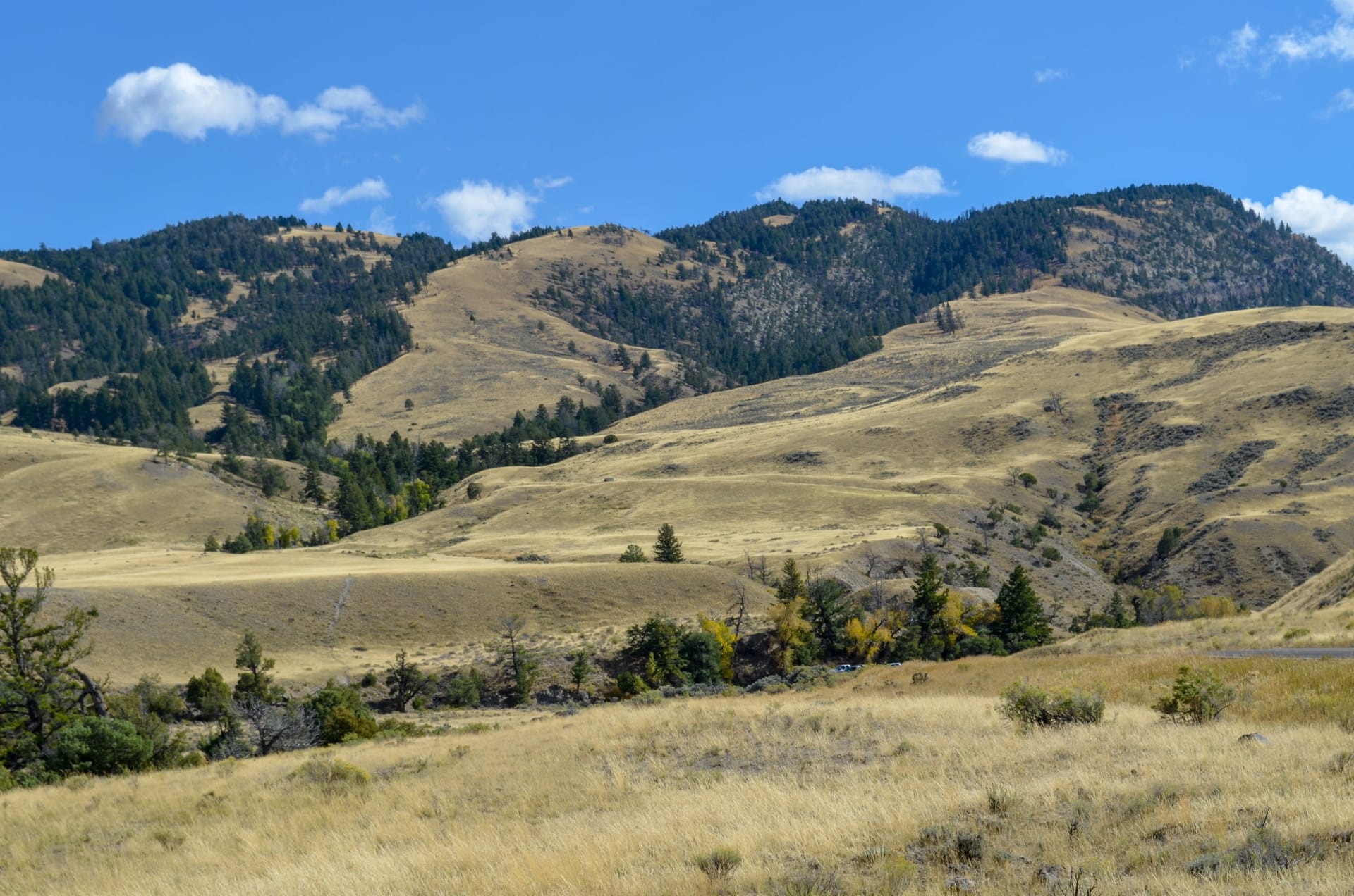 West Yellowstone — local identity