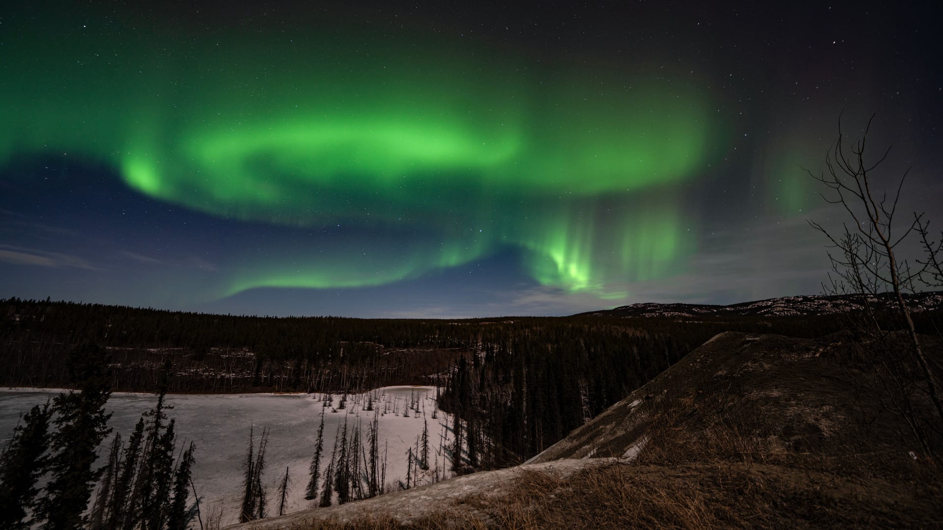 Whitehorse — local identity