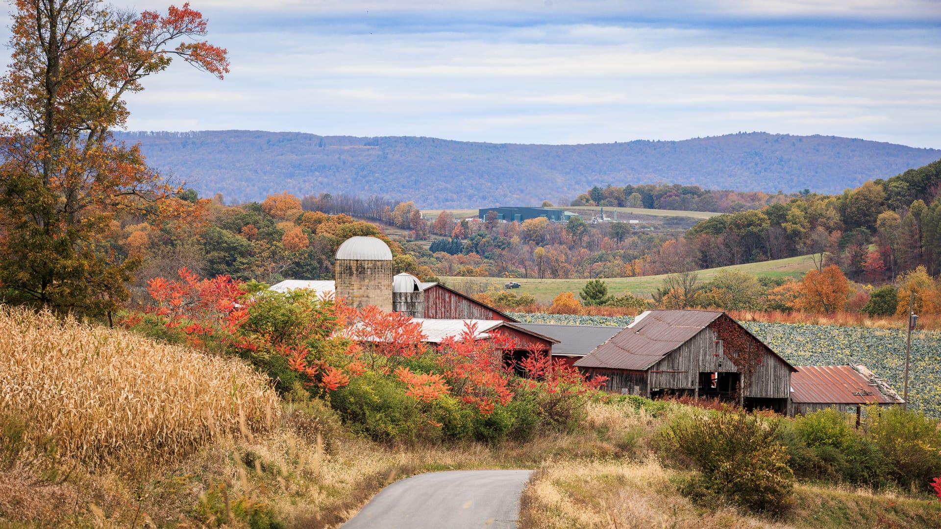Williamsport — local identity