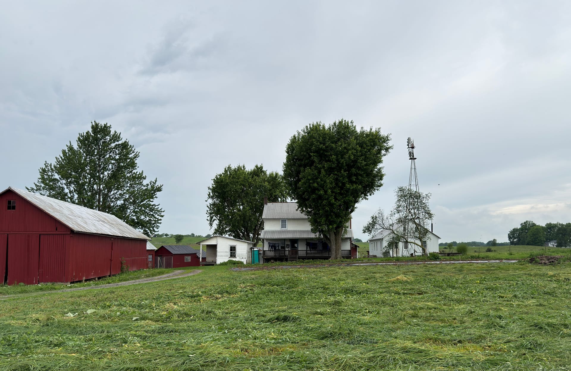 Wooster — local identity